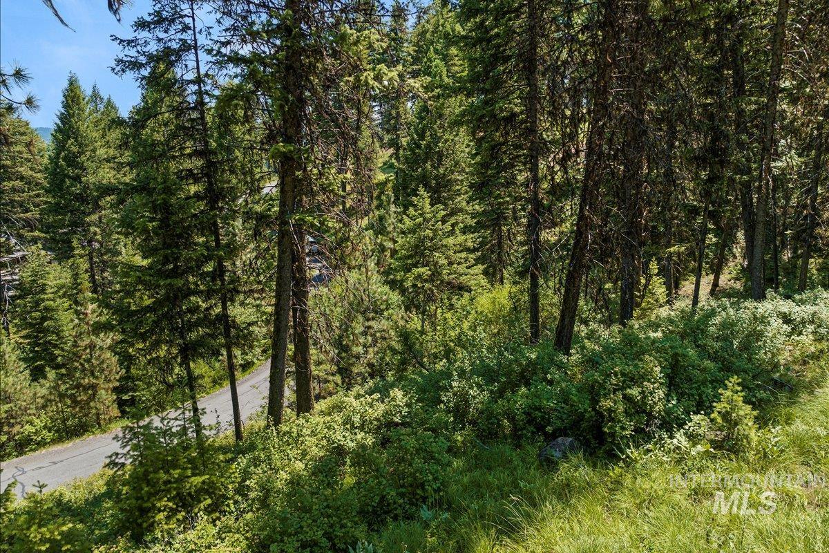L5 B29 Sorrel Dr, New Meadows, Idaho 83654, Land For Sale, Price $104,900, 98949937