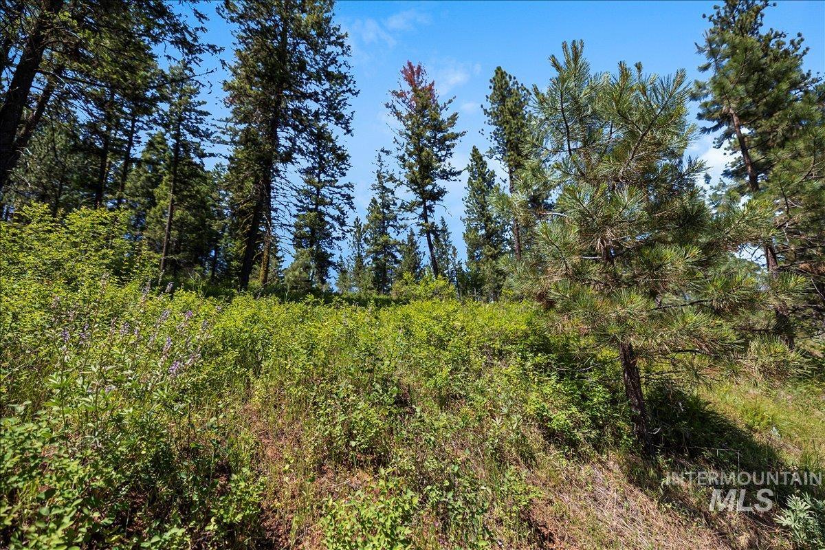 L5 B29 Sorrel Dr, New Meadows, Idaho 83654, Land For Sale, Price $104,900, 98949937