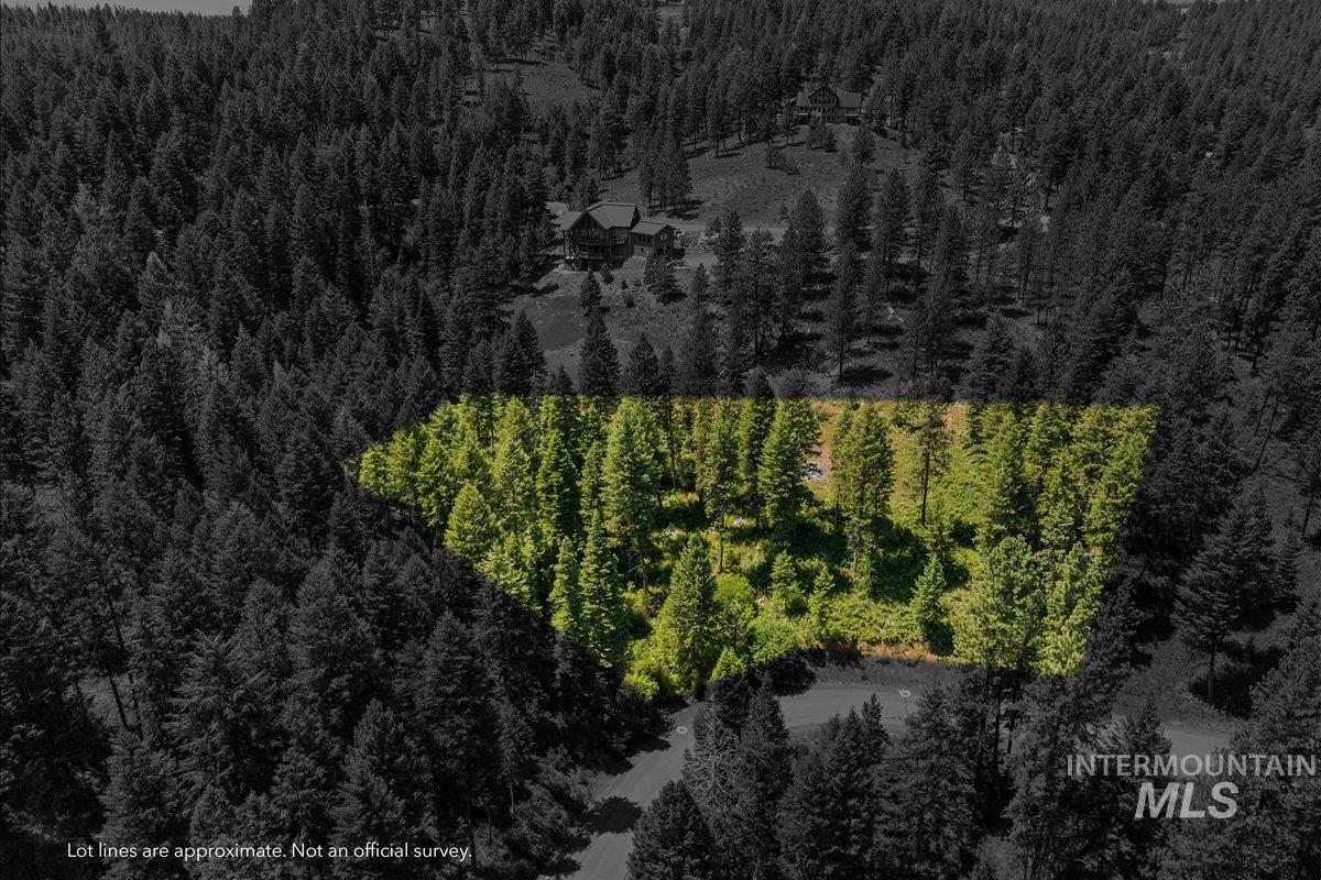 L5 B29 Sorrel Dr, New Meadows, Idaho 83654, Land For Sale, Price $104,900, 98949937
