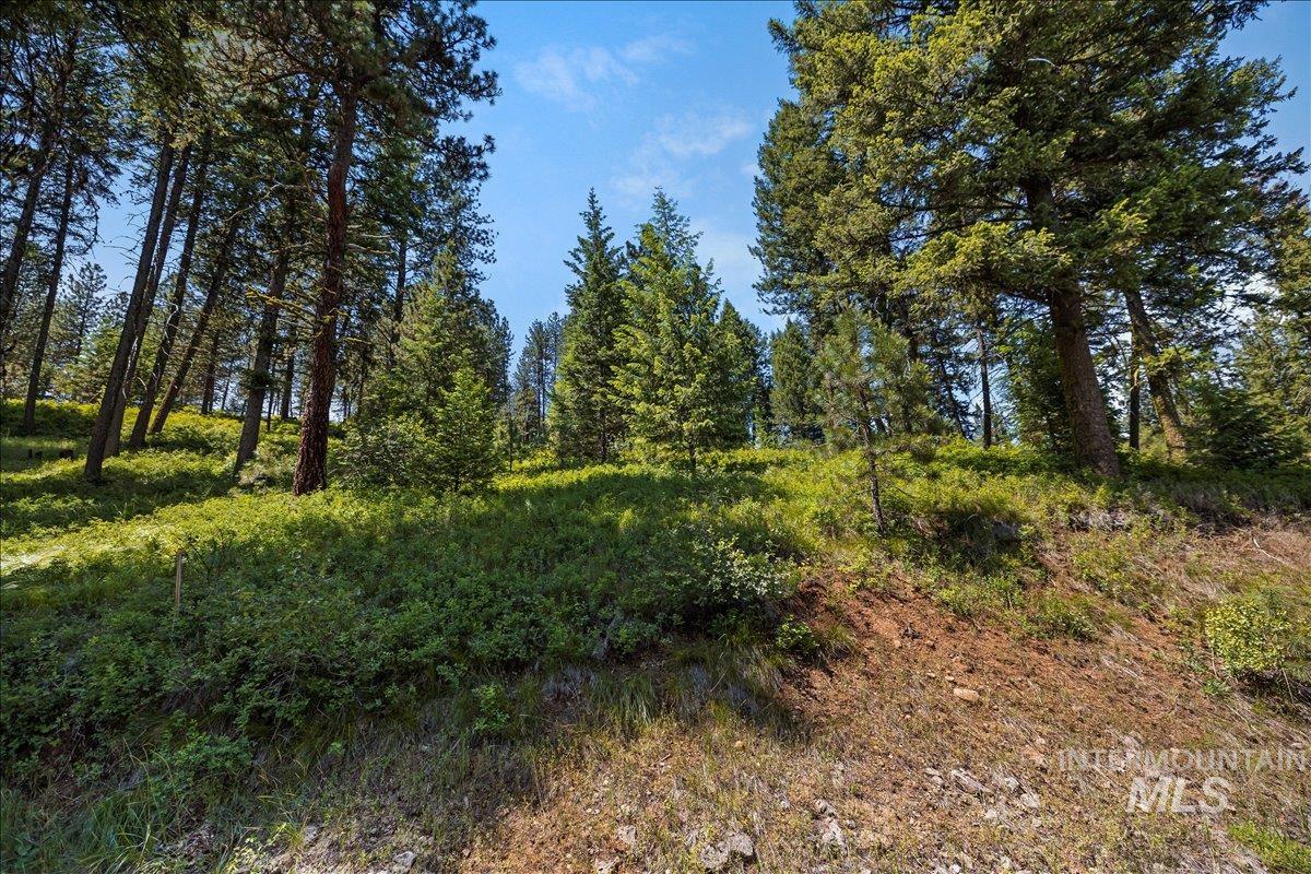 L5 B29 Sorrel Dr, New Meadows, Idaho 83654, Land For Sale, Price $104,900, 98949937