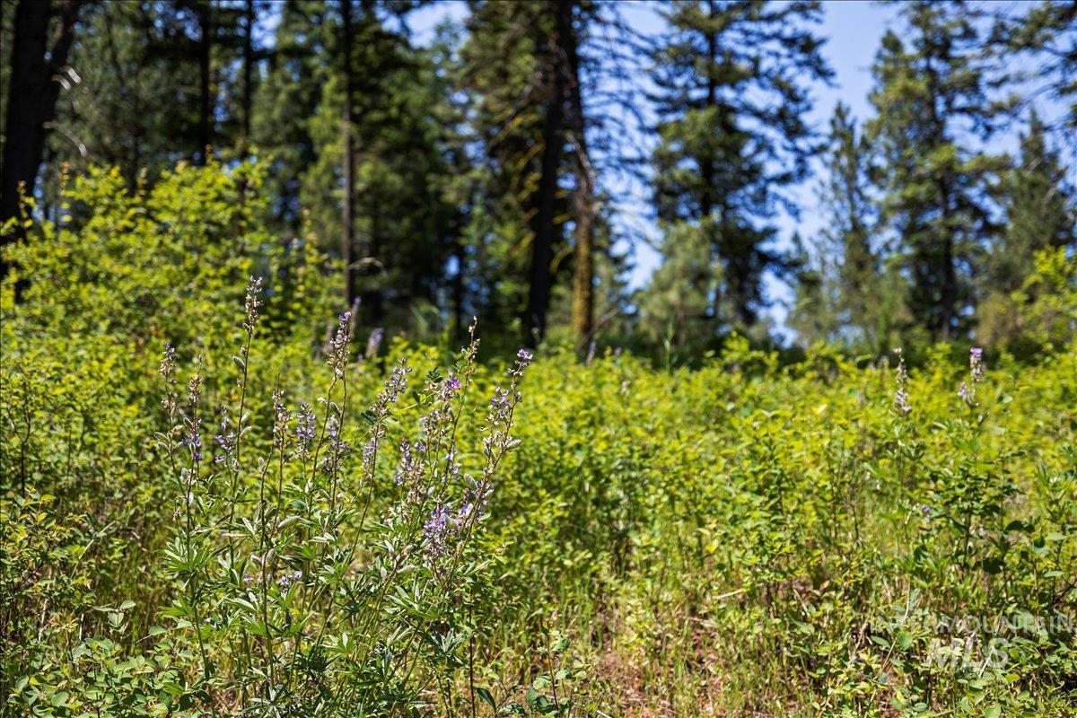 L5 B29 Sorrel Dr, New Meadows, Idaho 83654, Land For Sale, Price $104,900, 98949937
