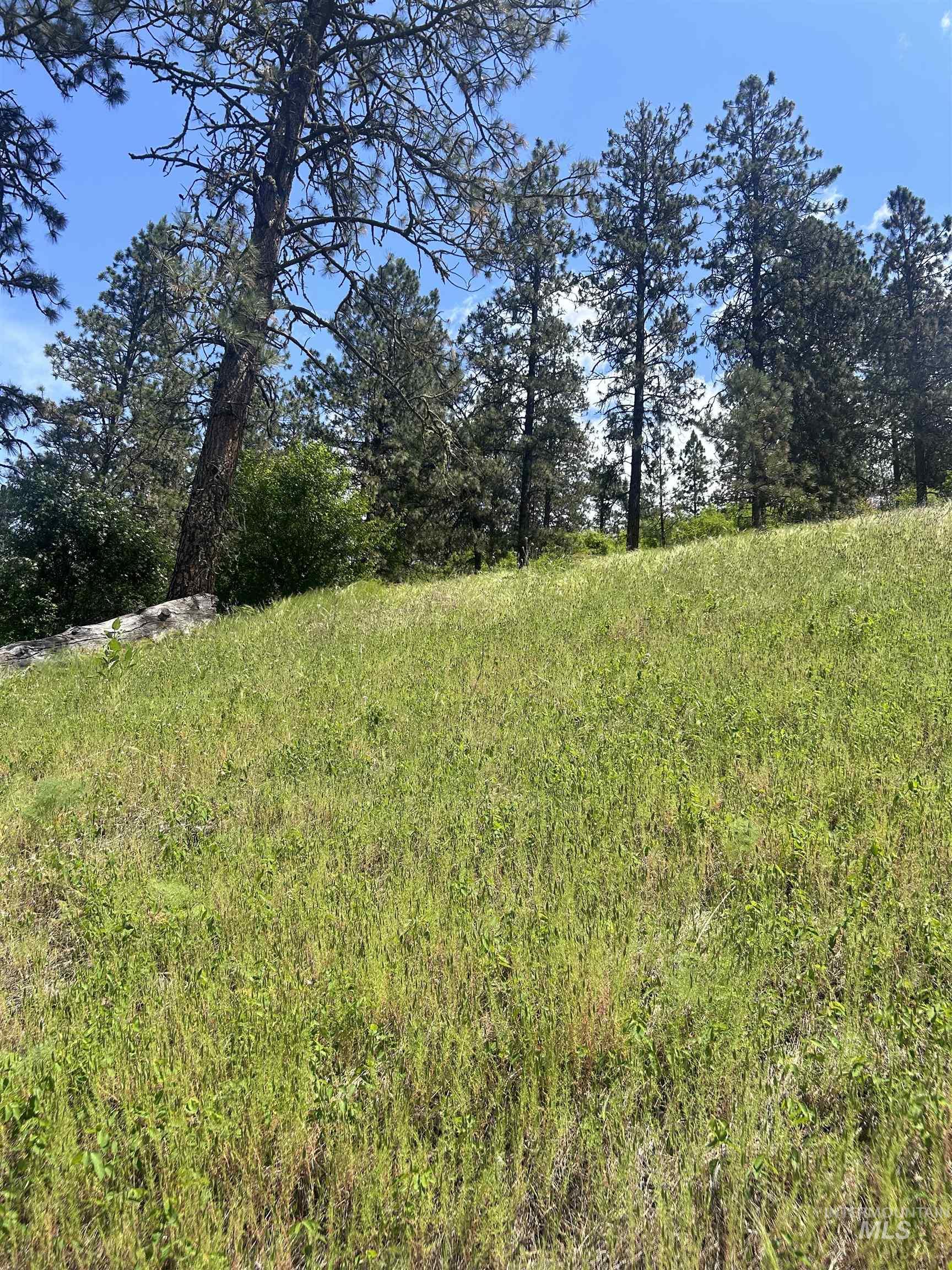 TBD HWY 12 LOT 3, Kooskia, Idaho 83536, Land For Sale, Price $250,000, 98949956