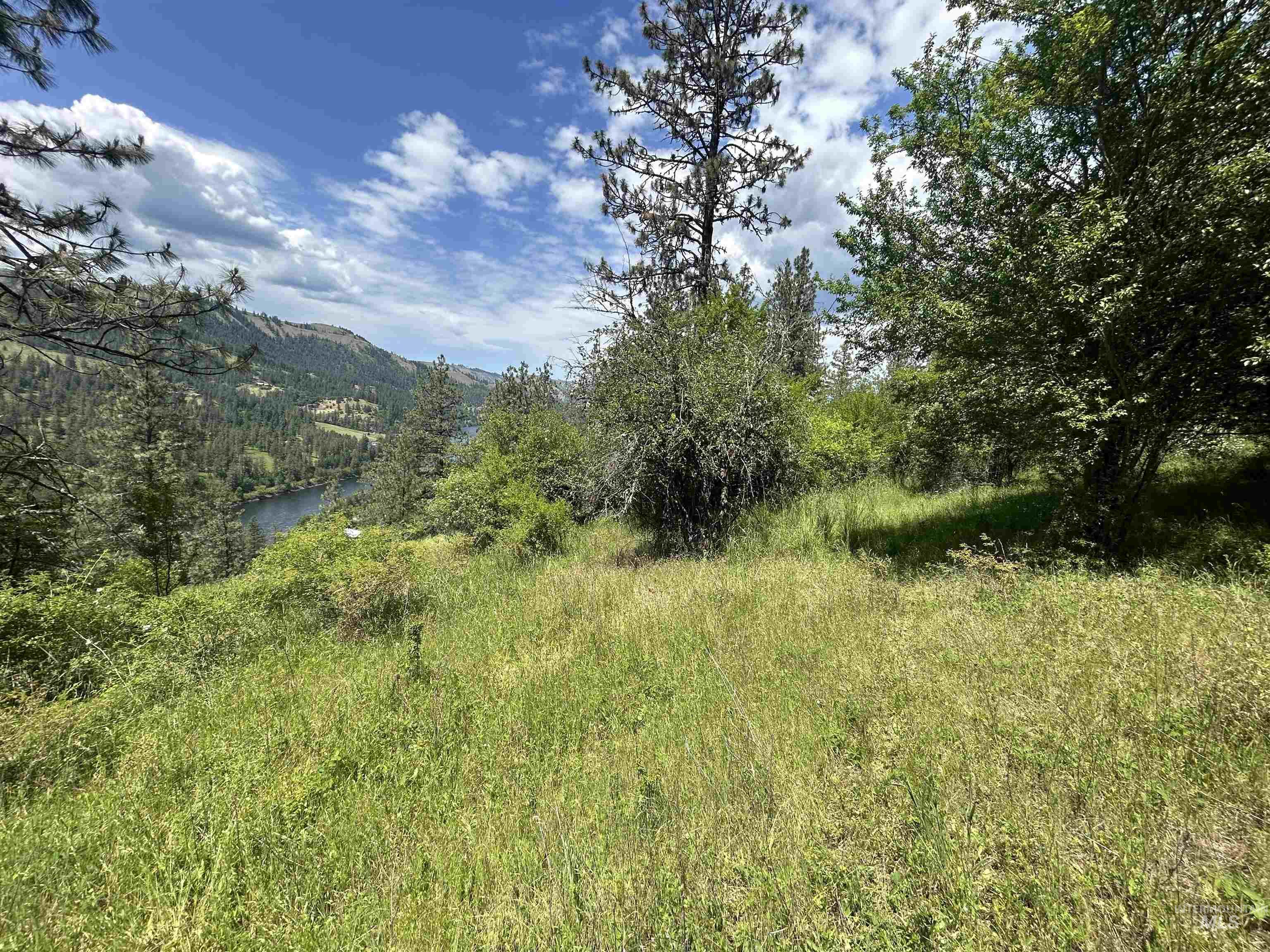 TBD HWY 12 LOT 3, Kooskia, Idaho 83536, Land For Sale, Price $250,000, 98949956