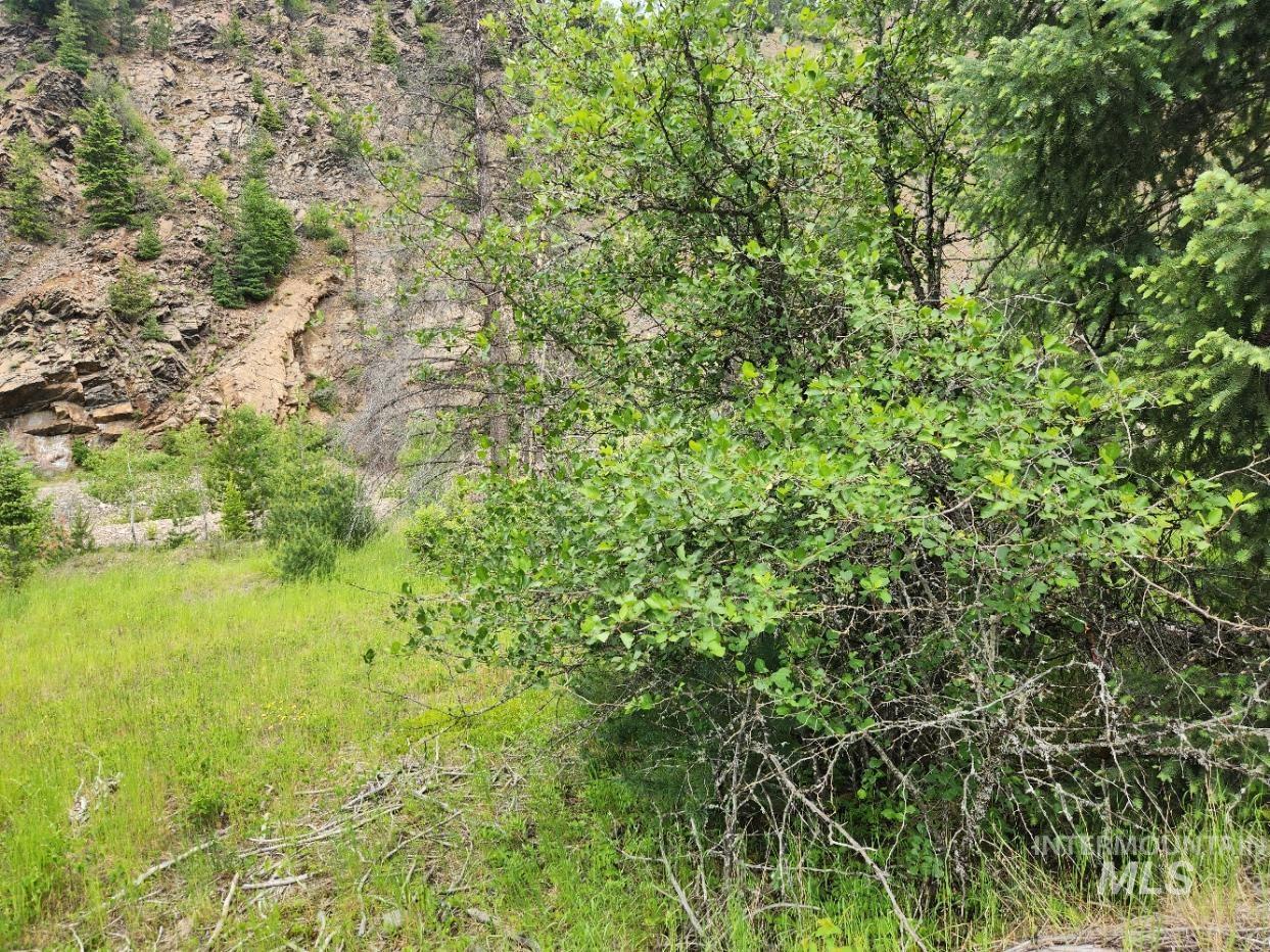 53917 Silver Valley Rd., Kellogg, Idaho 83837-0000, Land For Sale, Price $345,000, 98950009