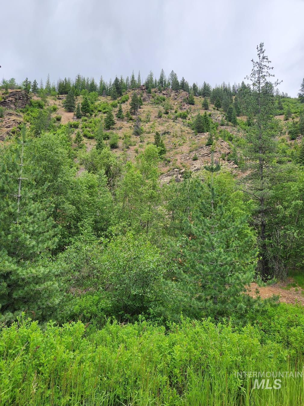 53917 Silver Valley Rd., Kellogg, Idaho 83837-0000, Land For Sale, Price $345,000, 98950009