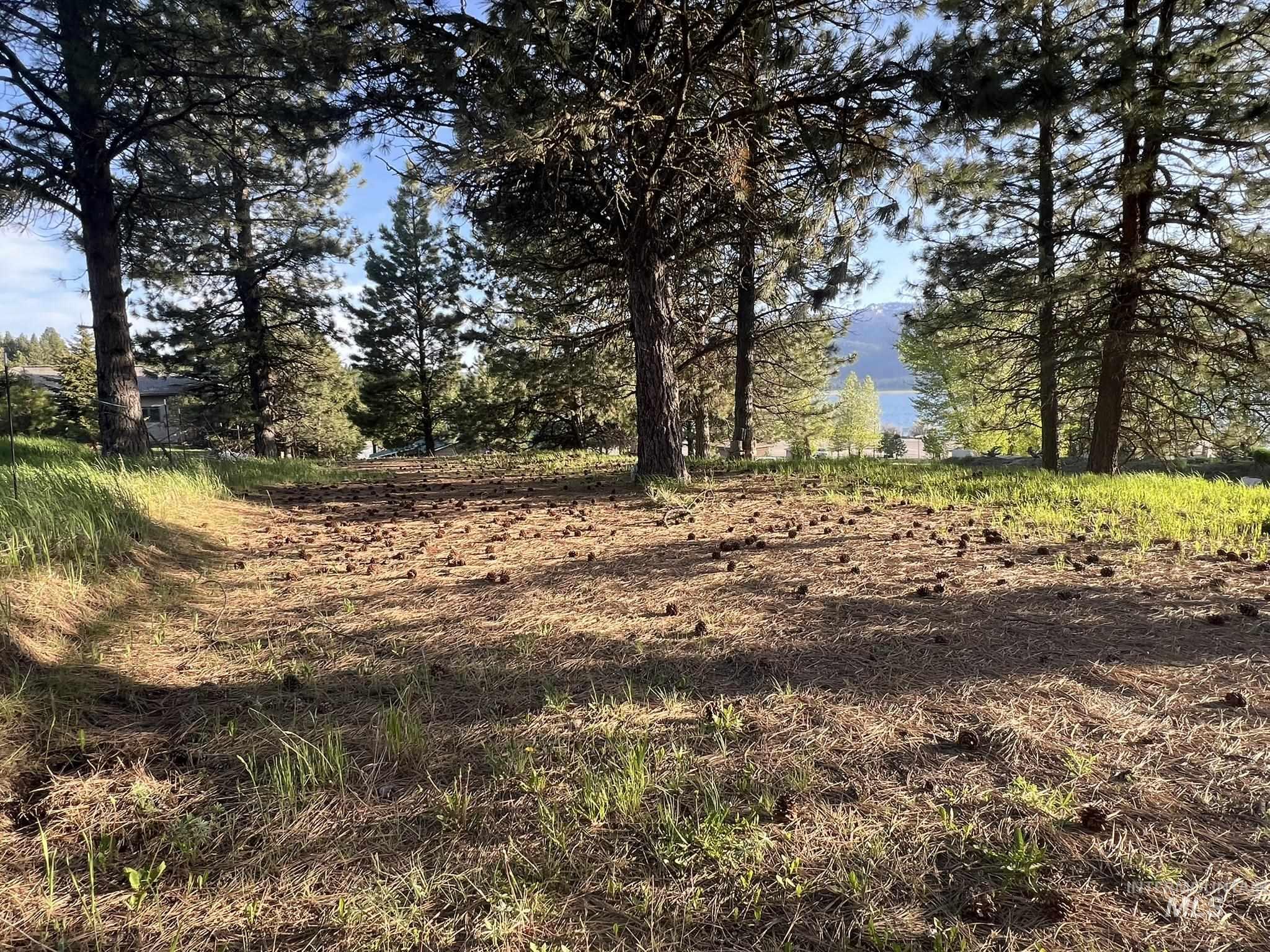 515 Lakeview Dr., Cascade, Idaho 83611, Land For Sale, Price $450,000, 98950041