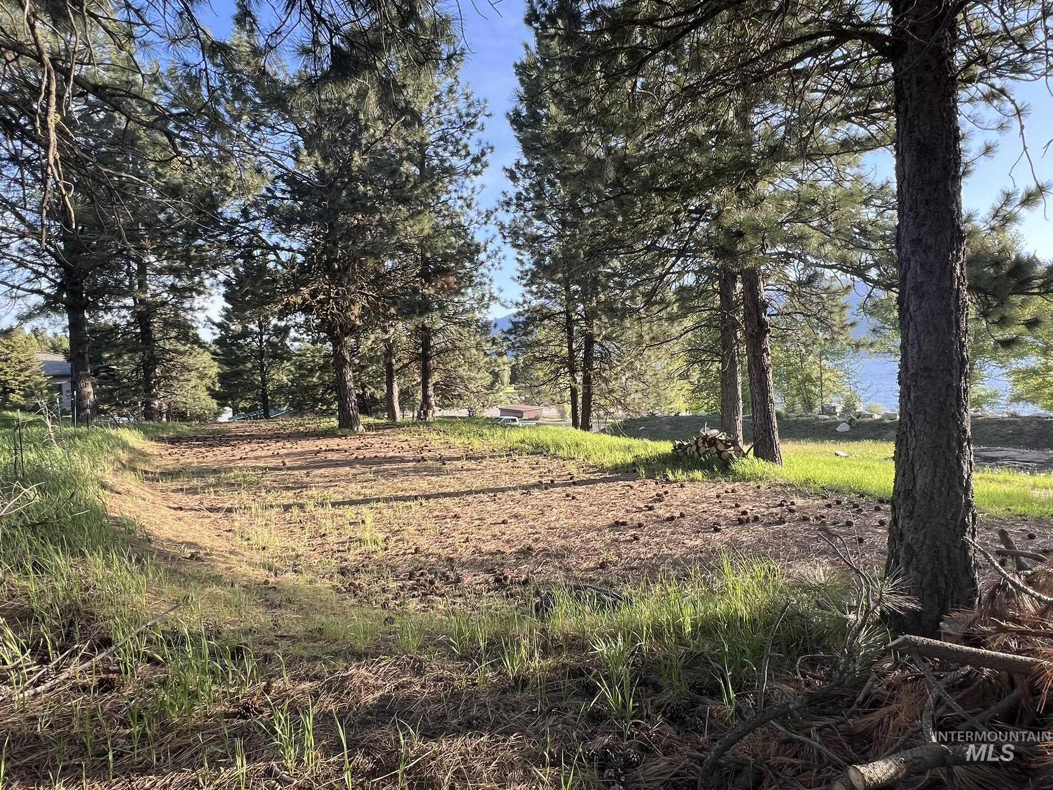515 Lakeview Dr., Cascade, Idaho 83611, Land For Sale, Price $450,000, 98950041