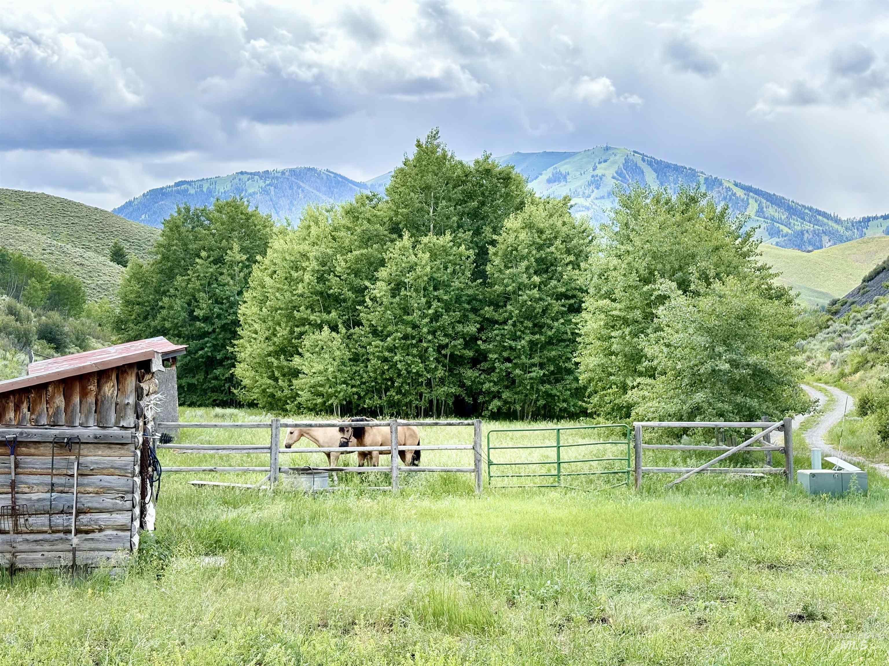 View of mountain background with rural landscape and a pastoral area