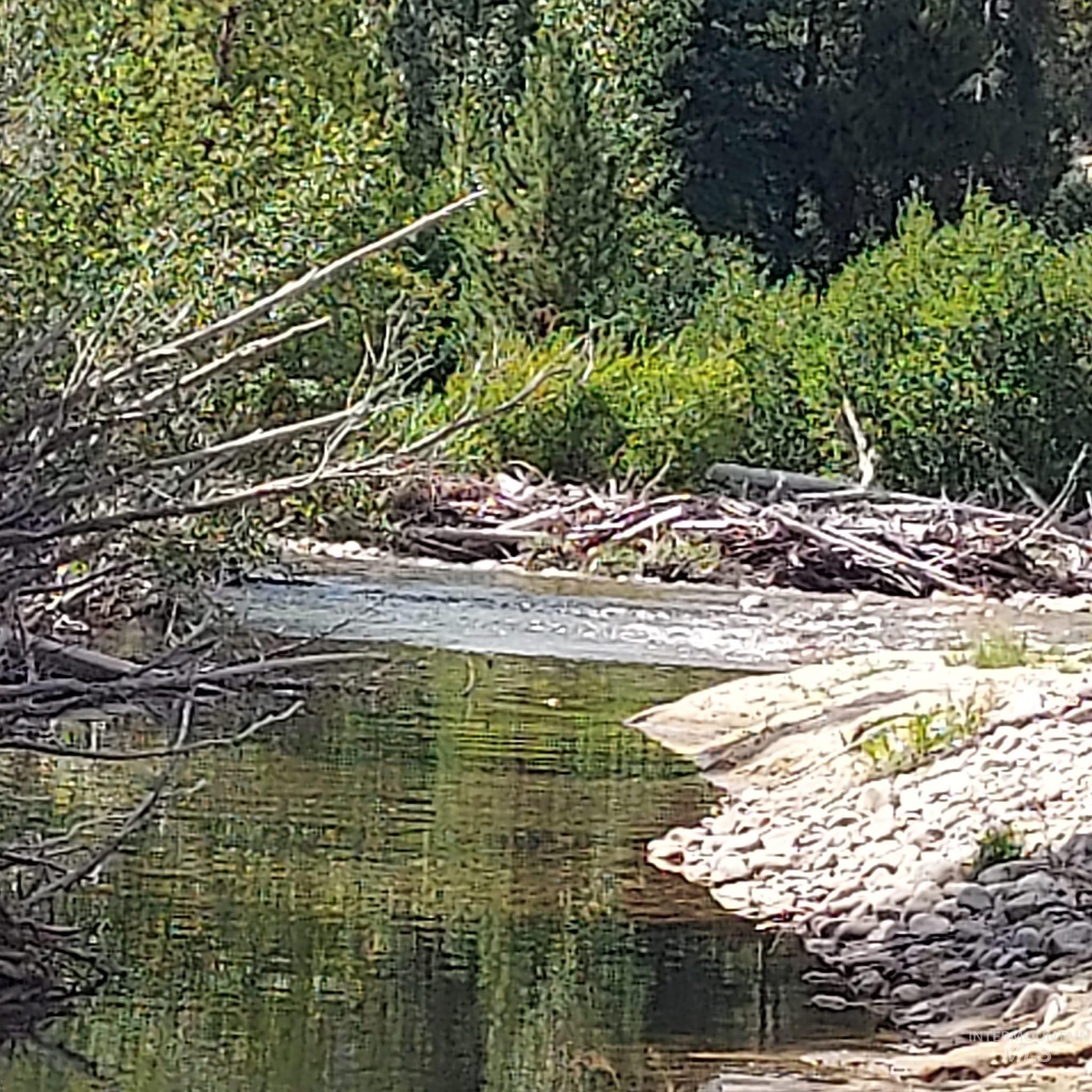 2079 Fleck SMT FS079 Rd, Fairfield, Idaho 83327, 2 Bedrooms, 1 Bathroom, Residential For Sale, Price $599,000, 98950217