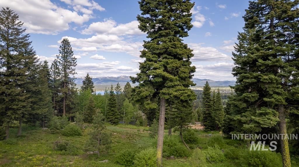 1420 Club Hill Blvd., McCall, Idaho 83638, Land For Sale, Price $524,900, 98950221
