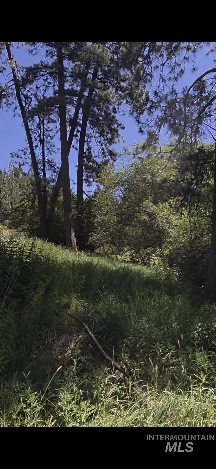 TBD Four Mile Rd., Viola, Idaho 83872, Land For Sale, Price $375,000, 98950354