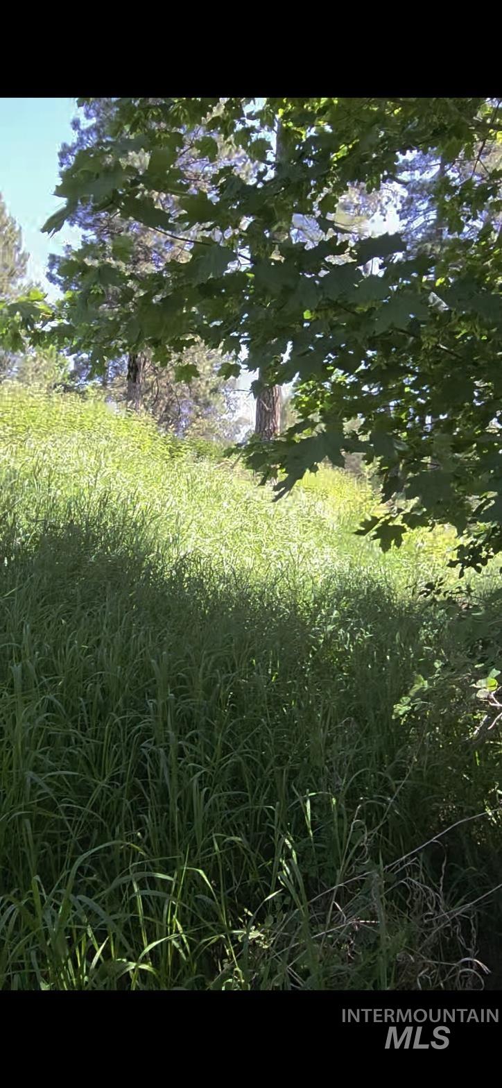 TBD Four Mile Rd., Viola, Idaho 83872, Land For Sale, Price $375,000, 98950354