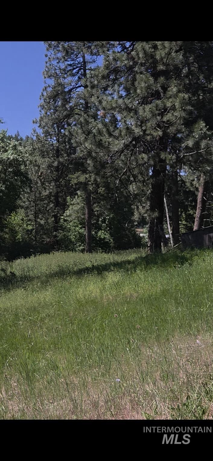 TBD Four Mile Rd., Viola, Idaho 83872, Land For Sale, Price $375,000, 98950354