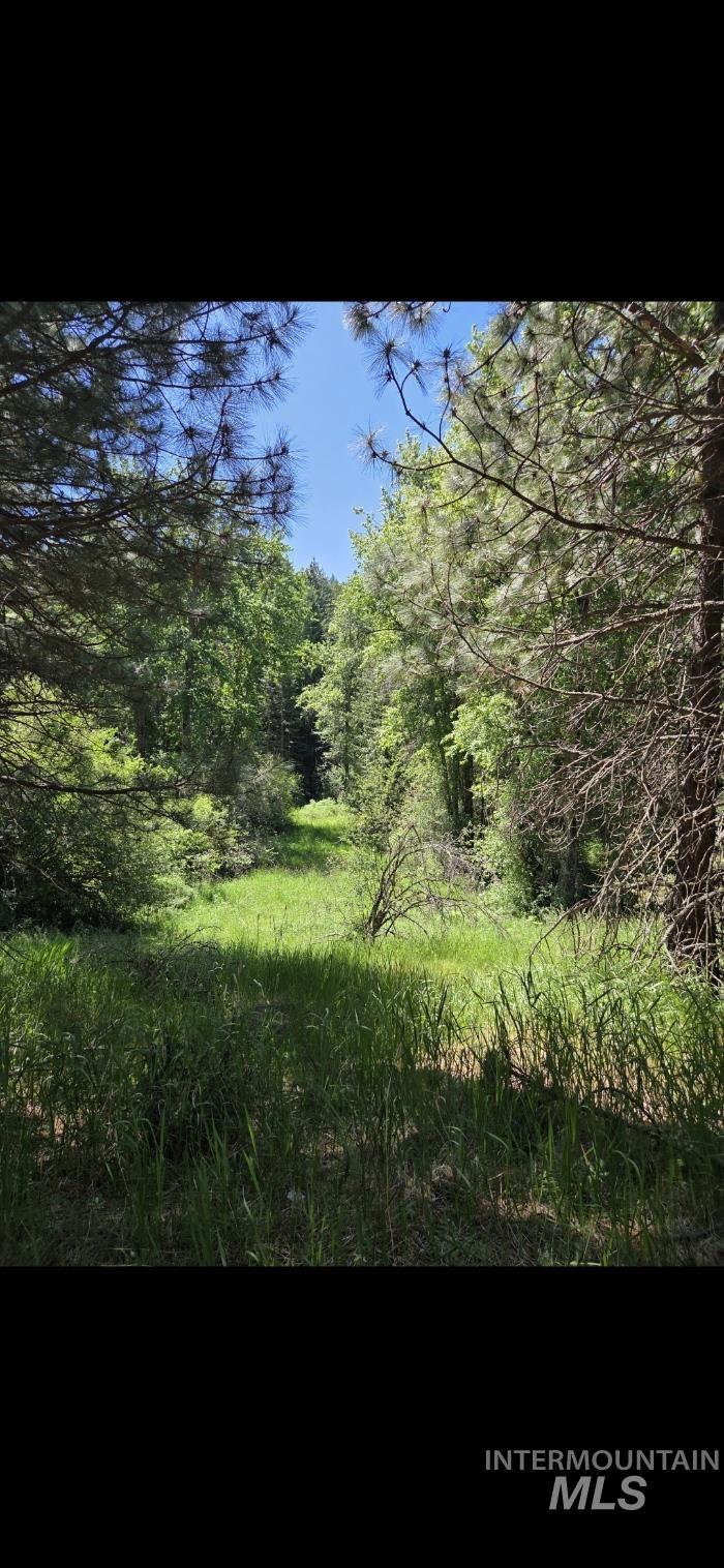 TBD Four Mile Rd., Viola, Idaho 83872, Land For Sale, Price $375,000, 98950354