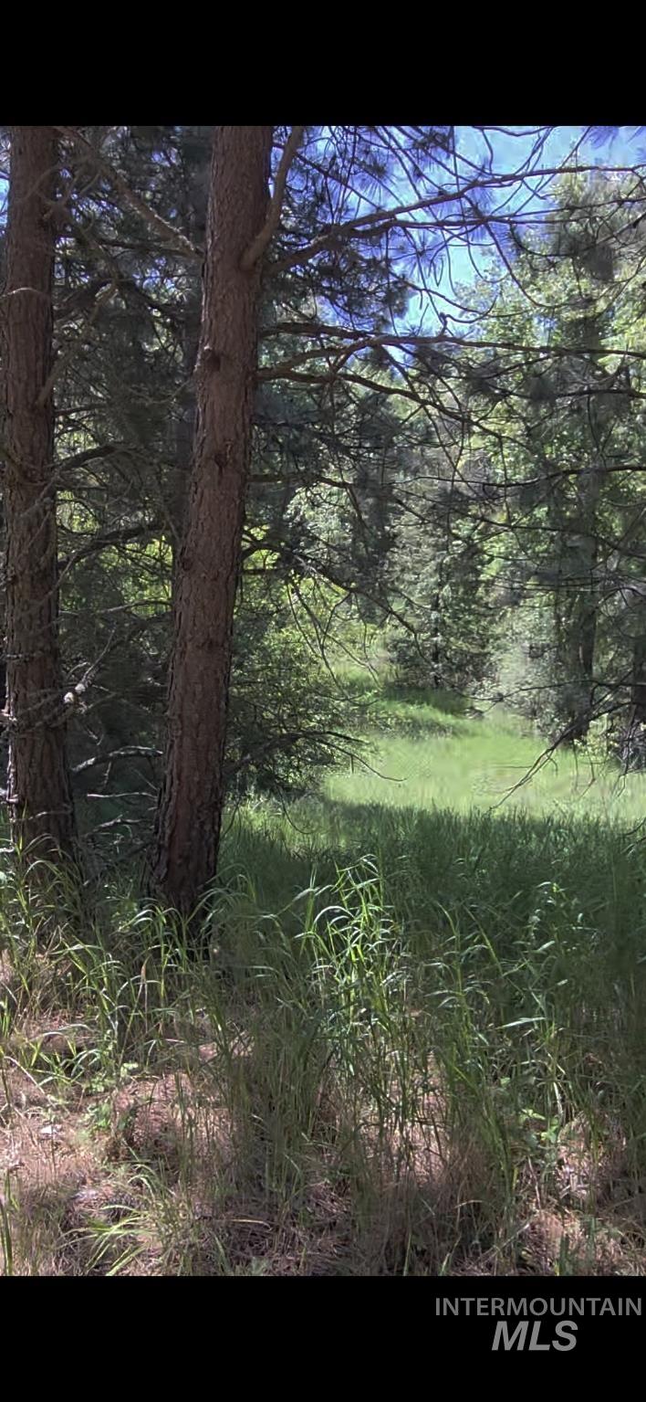 TBD Four Mile Rd., Viola, Idaho 83872, Land For Sale, Price $375,000, 98950354