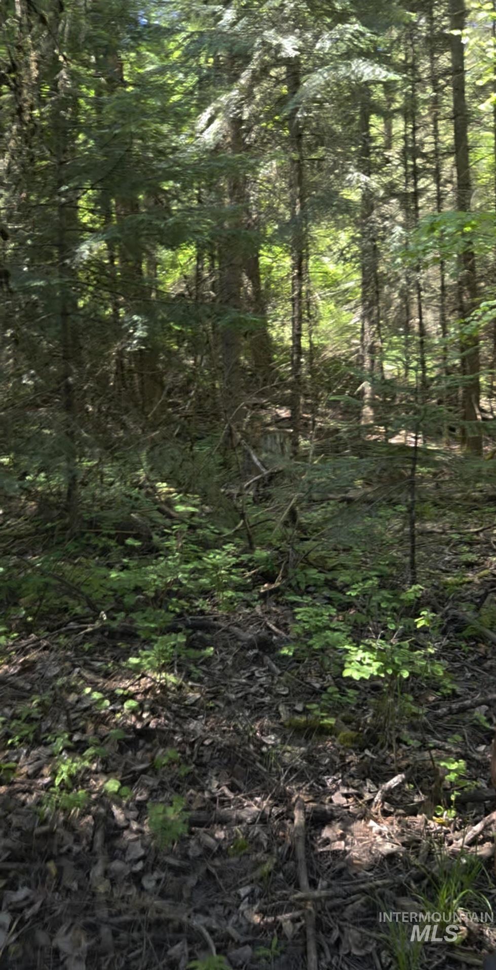 TBD Four Mile Rd., Viola, Idaho 83872, Land For Sale, Price $375,000, 98950354