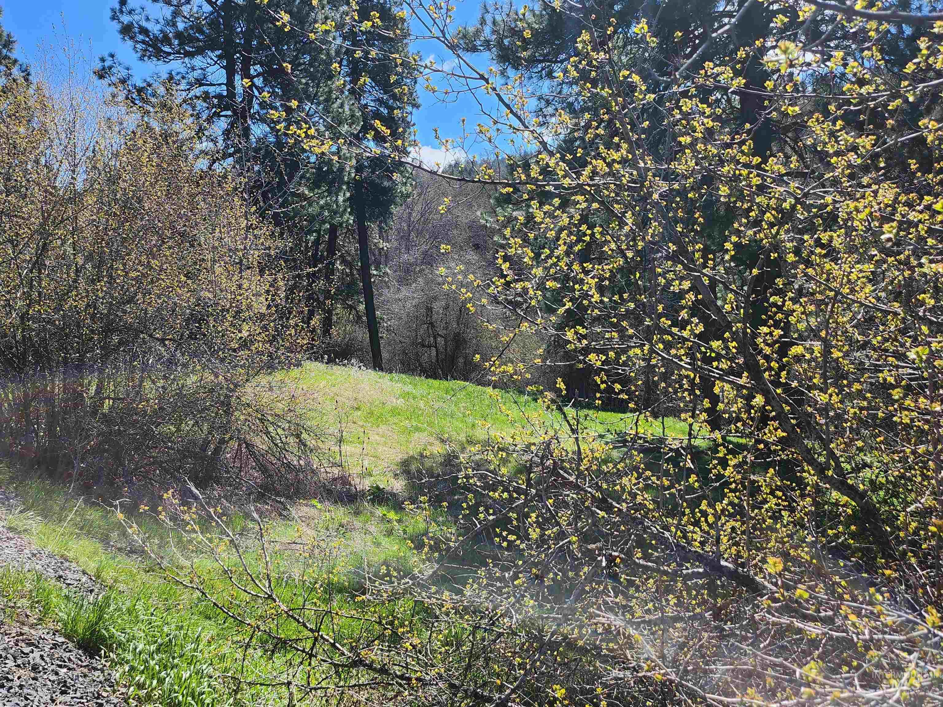 TBD Four Mile Rd., Viola, Idaho 83872, Land For Sale, Price $375,000, 98950354