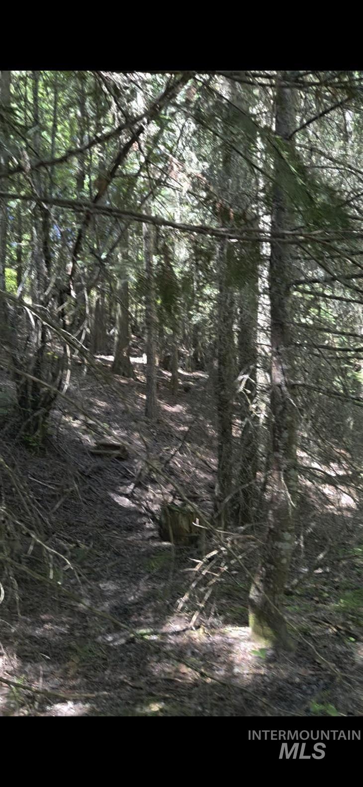 TBD Four Mile Rd., Viola, Idaho 83872, Land For Sale, Price $375,000, 98950354