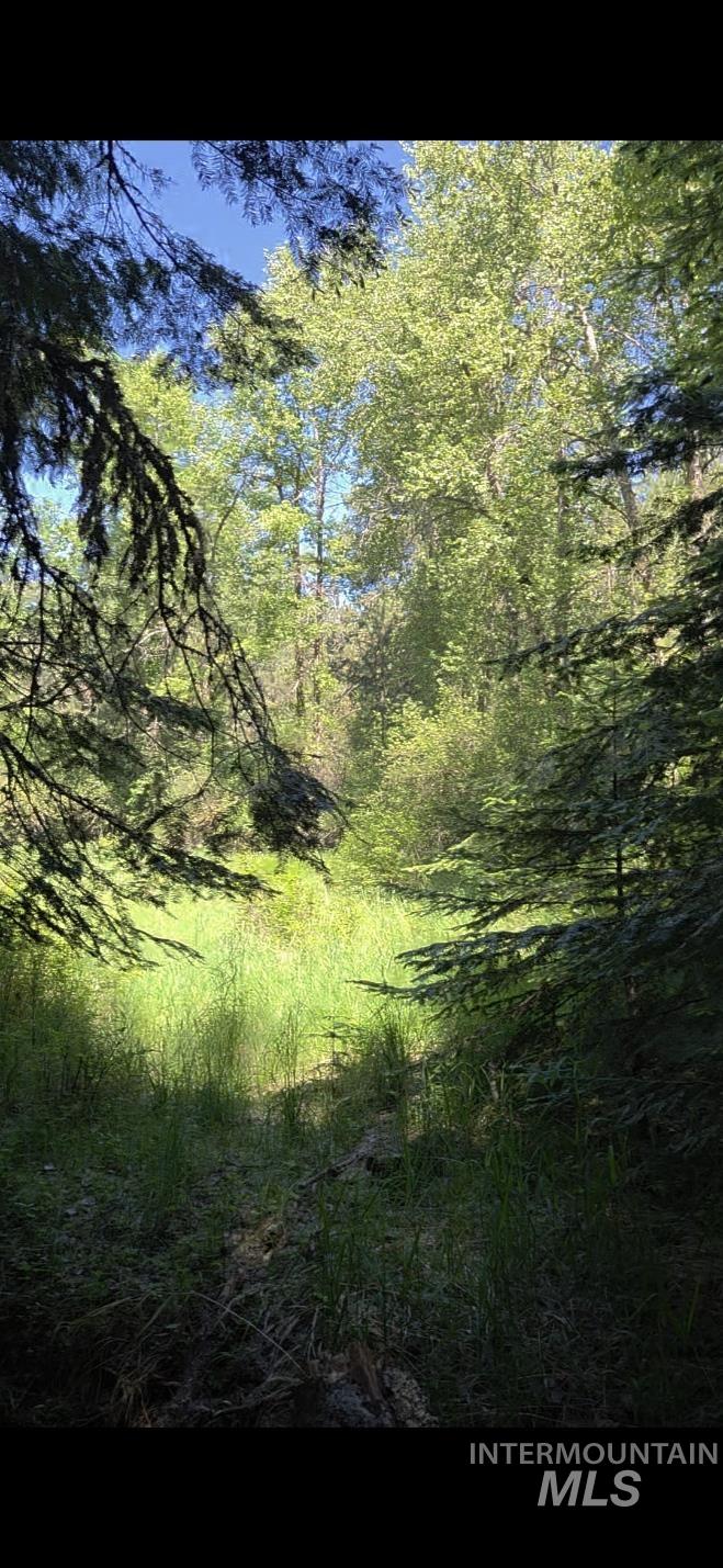 TBD Four Mile Rd., Viola, Idaho 83872, Land For Sale, Price $375,000, 98950354