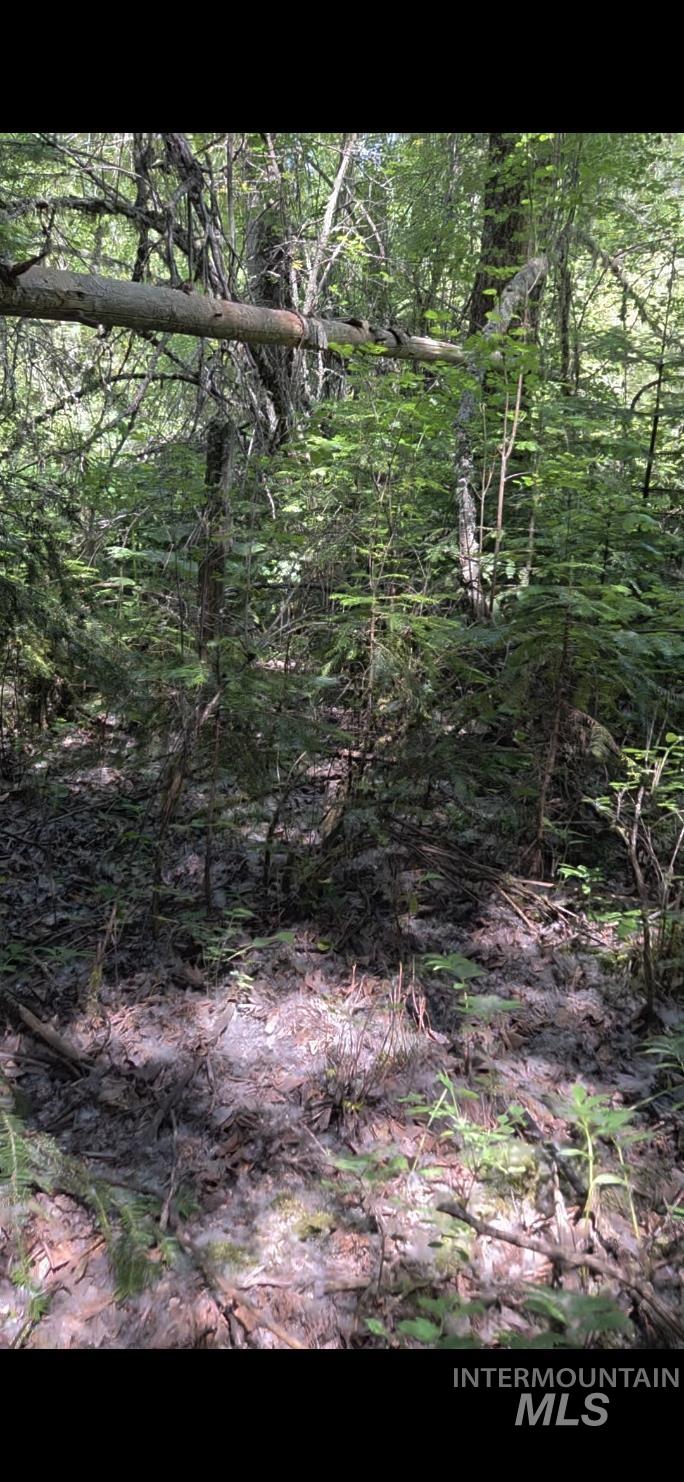 TBD Four Mile Rd., Viola, Idaho 83872, Land For Sale, Price $375,000, 98950354