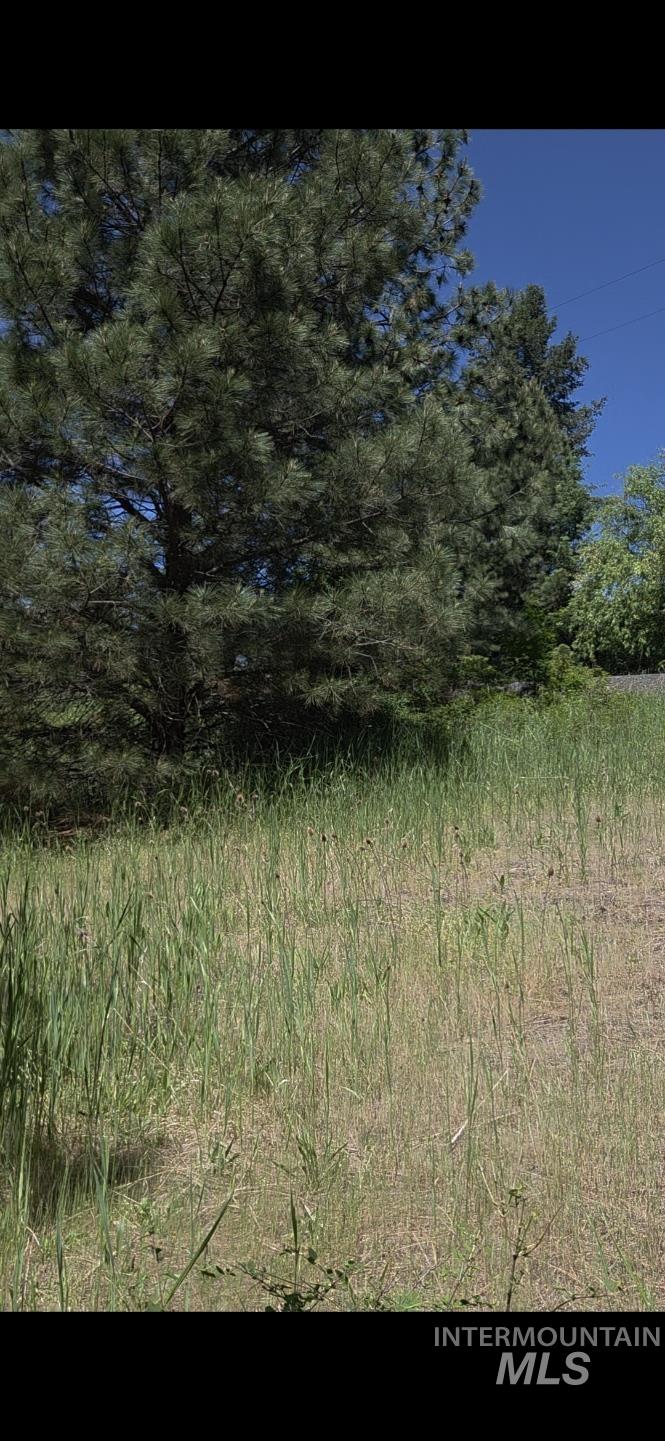 TBD Four Mile Rd., Viola, Idaho 83872, Land For Sale, Price $375,000, 98950354
