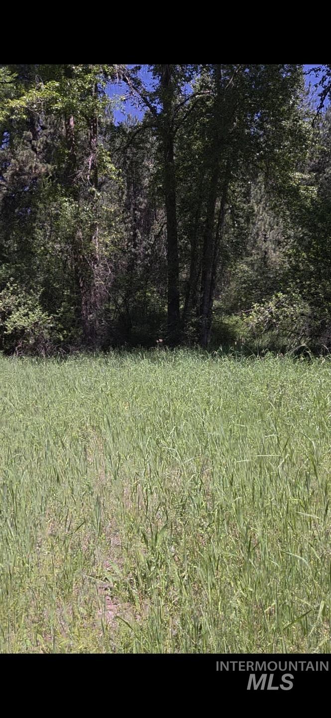 TBD Four Mile Rd., Viola, Idaho 83872, Land For Sale, Price $375,000, 98950354