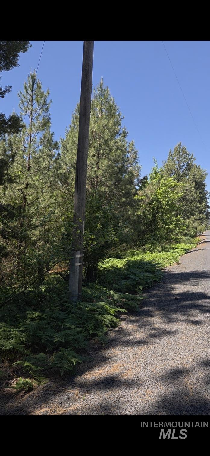 TBD Four Mile Rd., Viola, Idaho 83872, Land For Sale, Price $375,000, 98950354