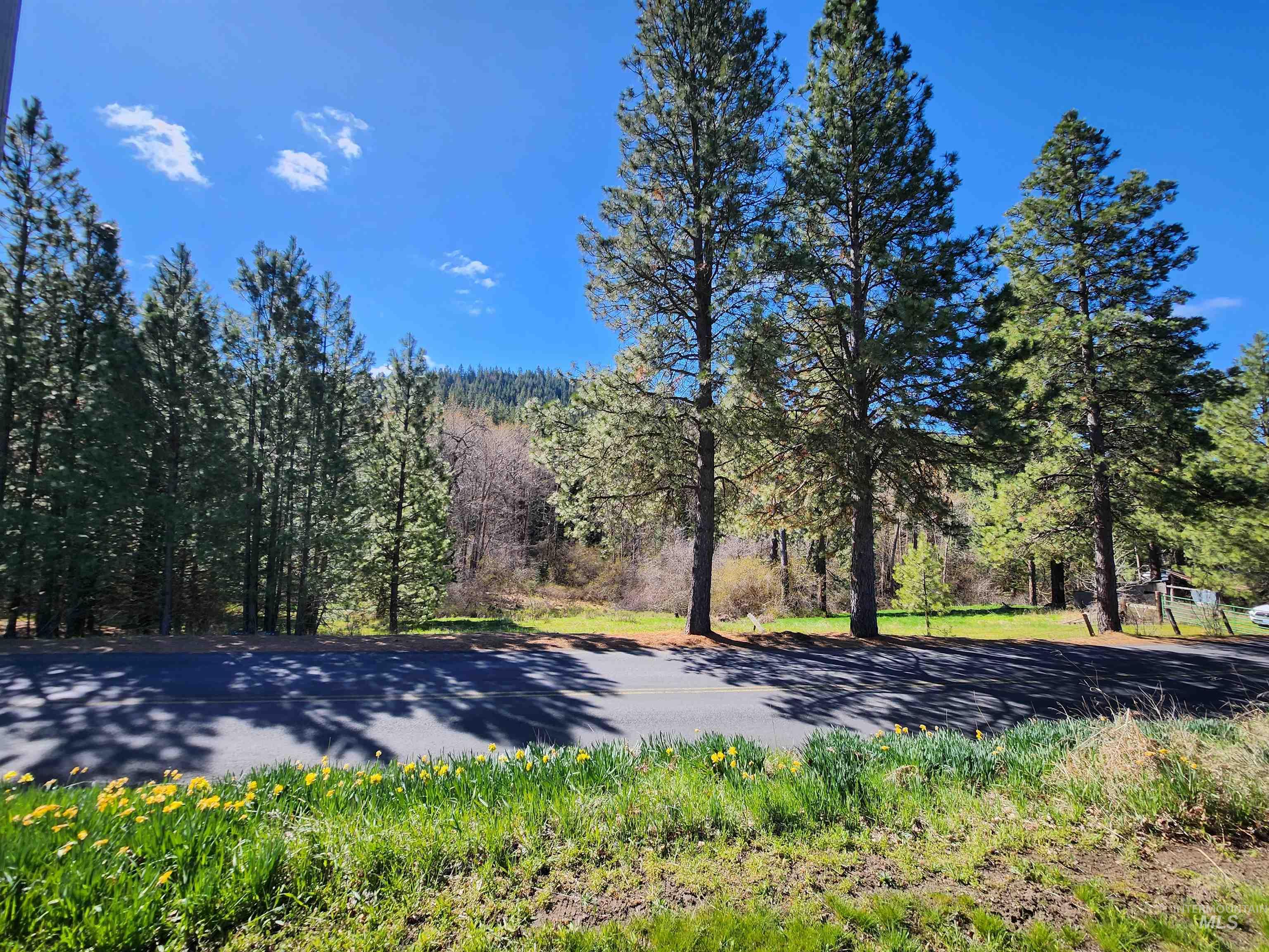 TBD Four Mile Rd., Viola, Idaho 83872, Land For Sale, Price $375,000, 98950354
