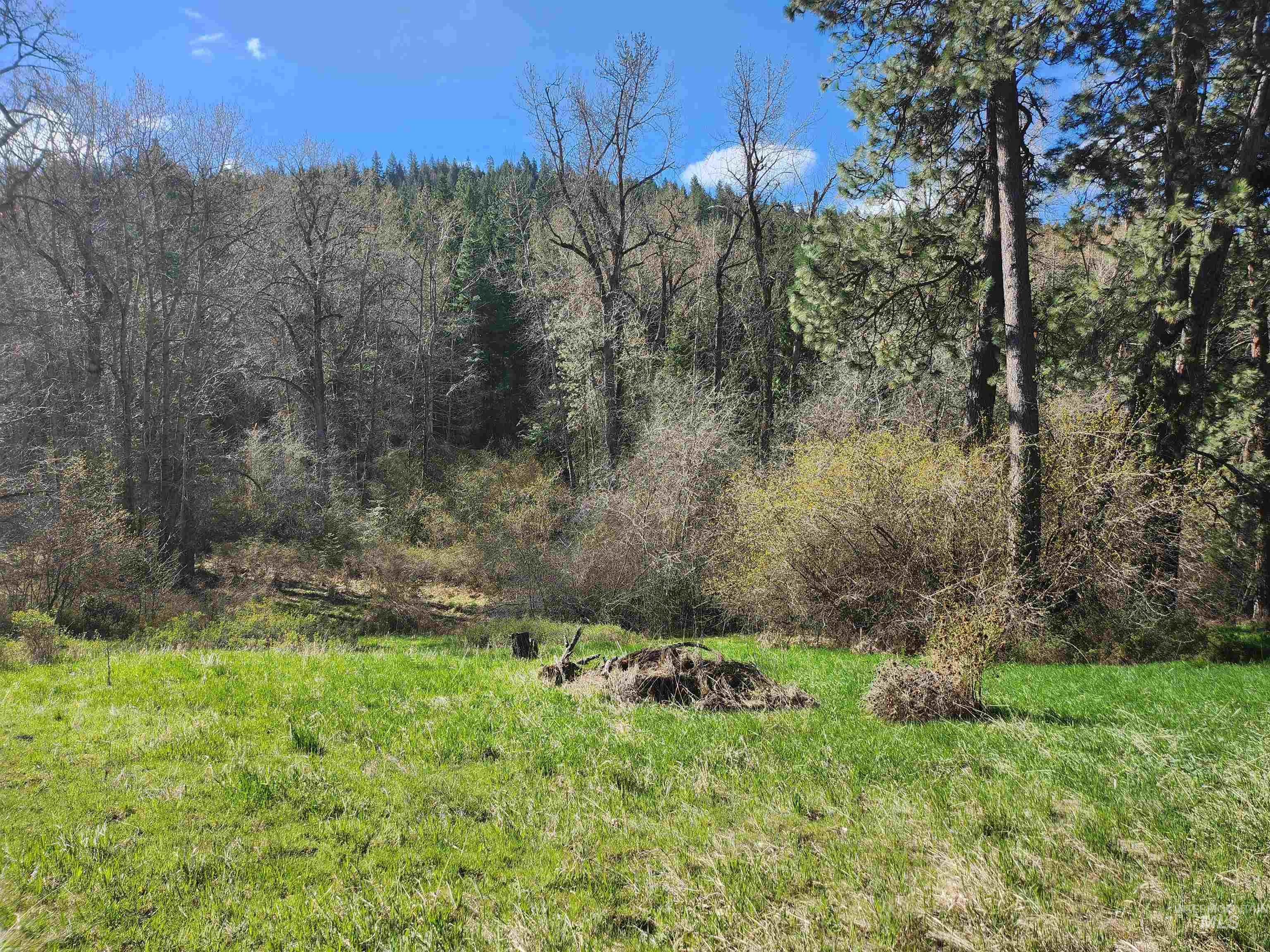 TBD Four Mile Rd., Viola, Idaho 83872, Land For Sale, Price $375,000, 98950354
