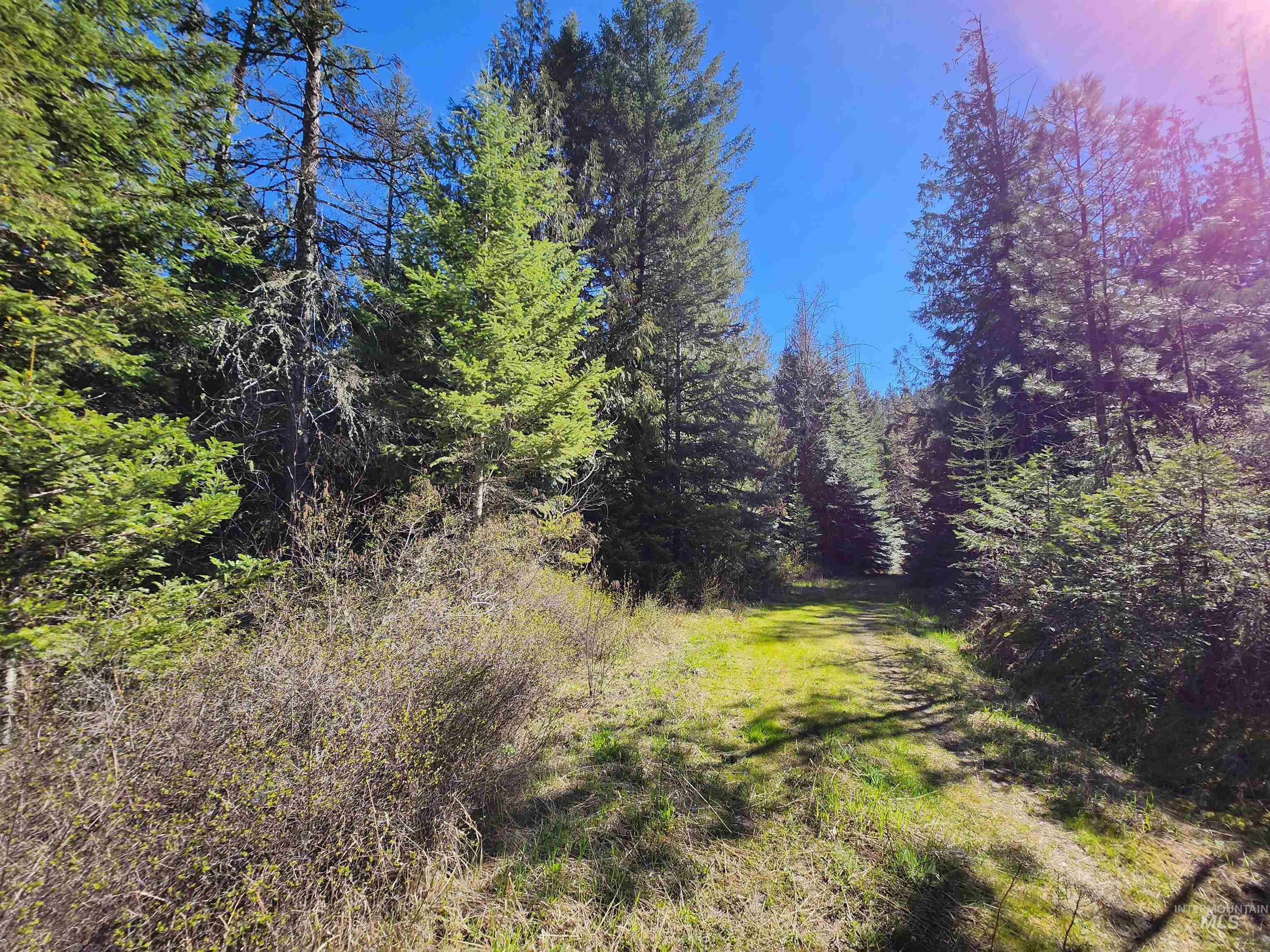 TBD Four Mile Rd., Viola, Idaho 83872, Land For Sale, Price $375,000, 98950354