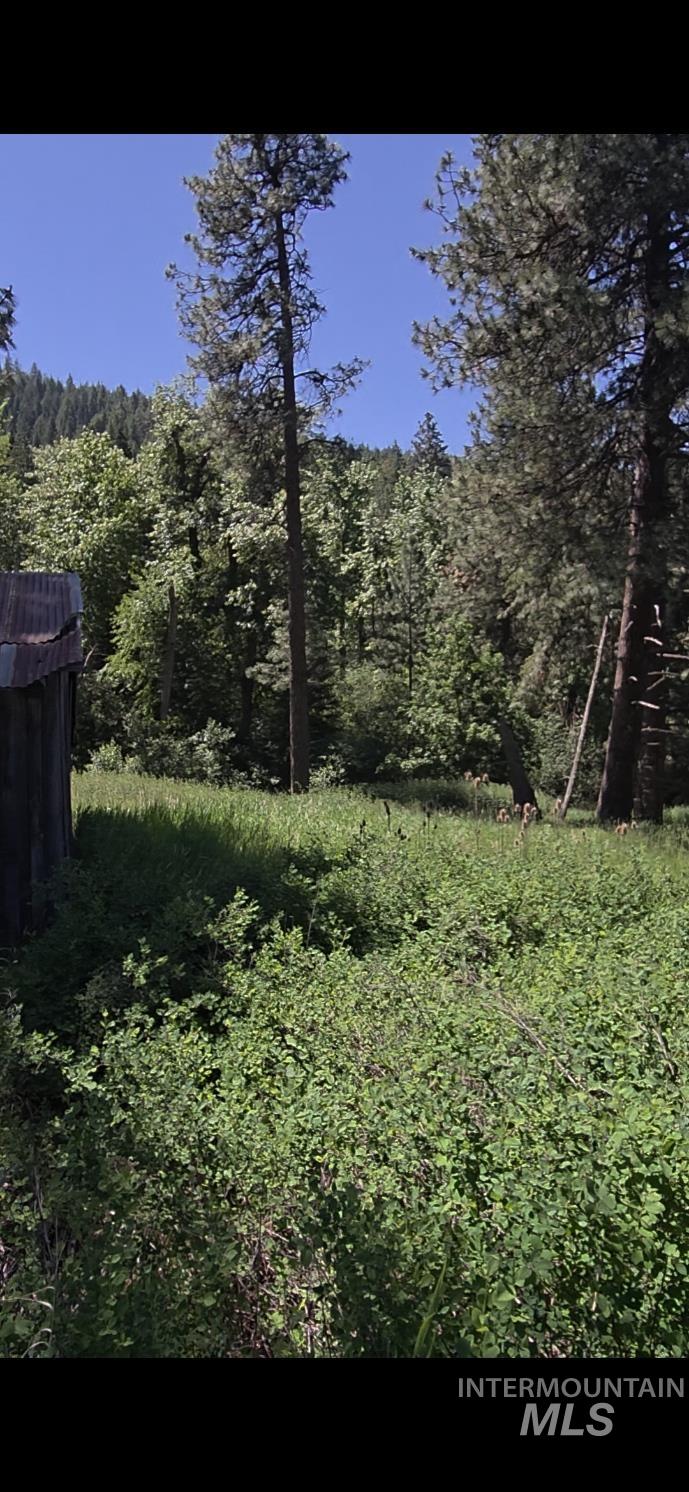 TBD Four Mile Rd., Viola, Idaho 83872, Land For Sale, Price $375,000, 98950354