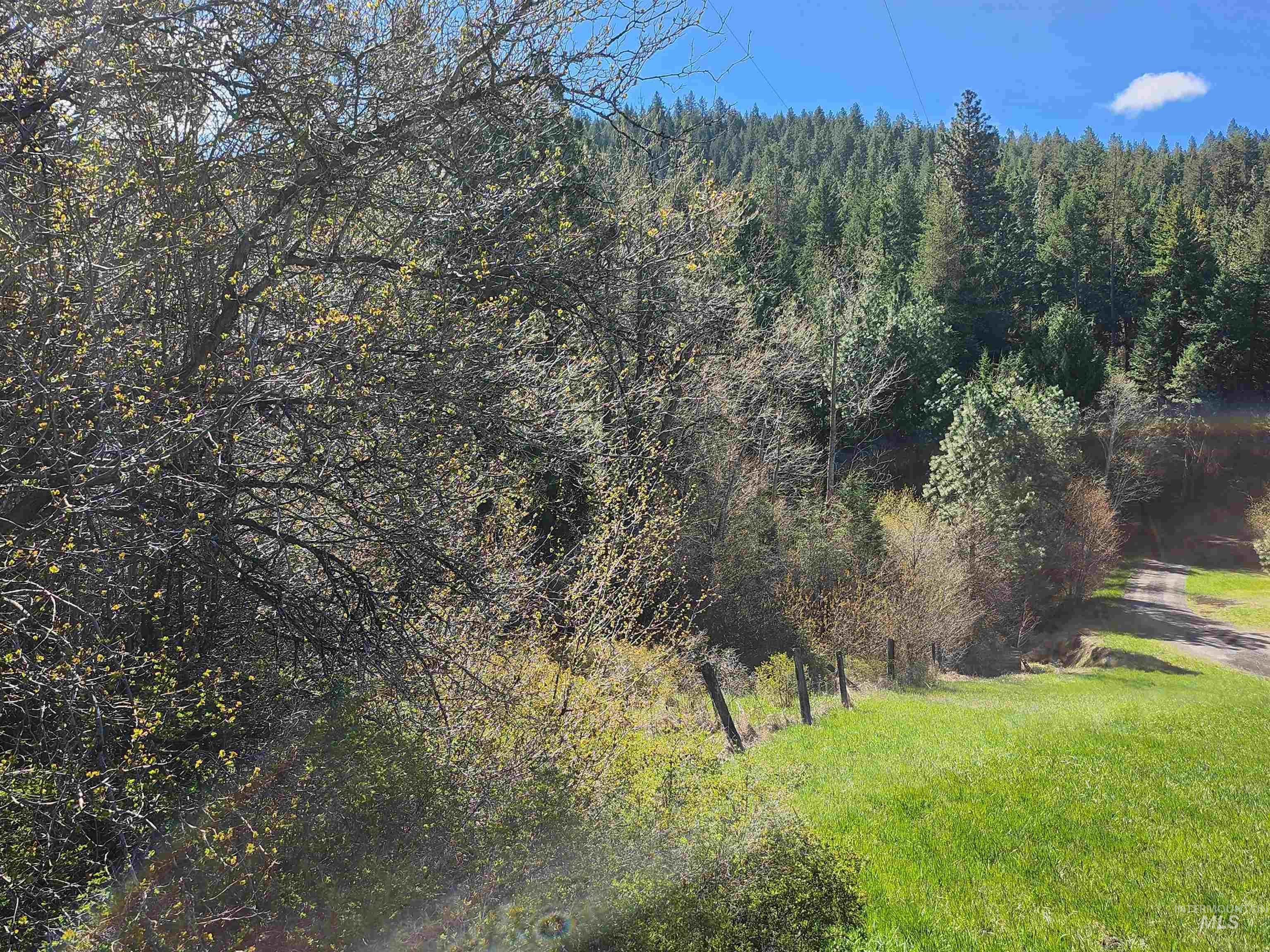 TBD Four Mile Rd., Viola, Idaho 83872, Land For Sale, Price $375,000, 98950354
