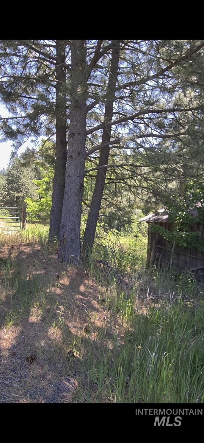 TBD Four Mile Rd., Viola, Idaho 83872, Land For Sale, Price $375,000, 98950354