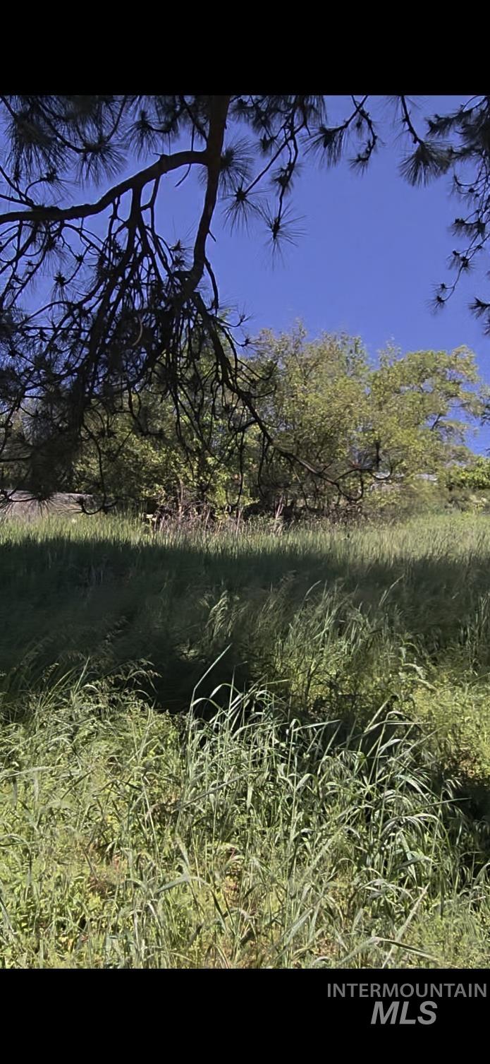 TBD Four Mile Rd., Viola, Idaho 83872, Land For Sale, Price $375,000, 98950354