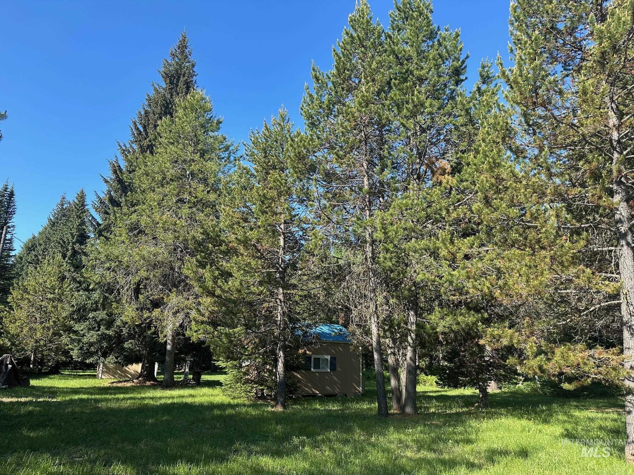 191 Wagon Wheel Ln, Donnelly, Idaho 83615, Land For Sale, Price $249,900, 98950396