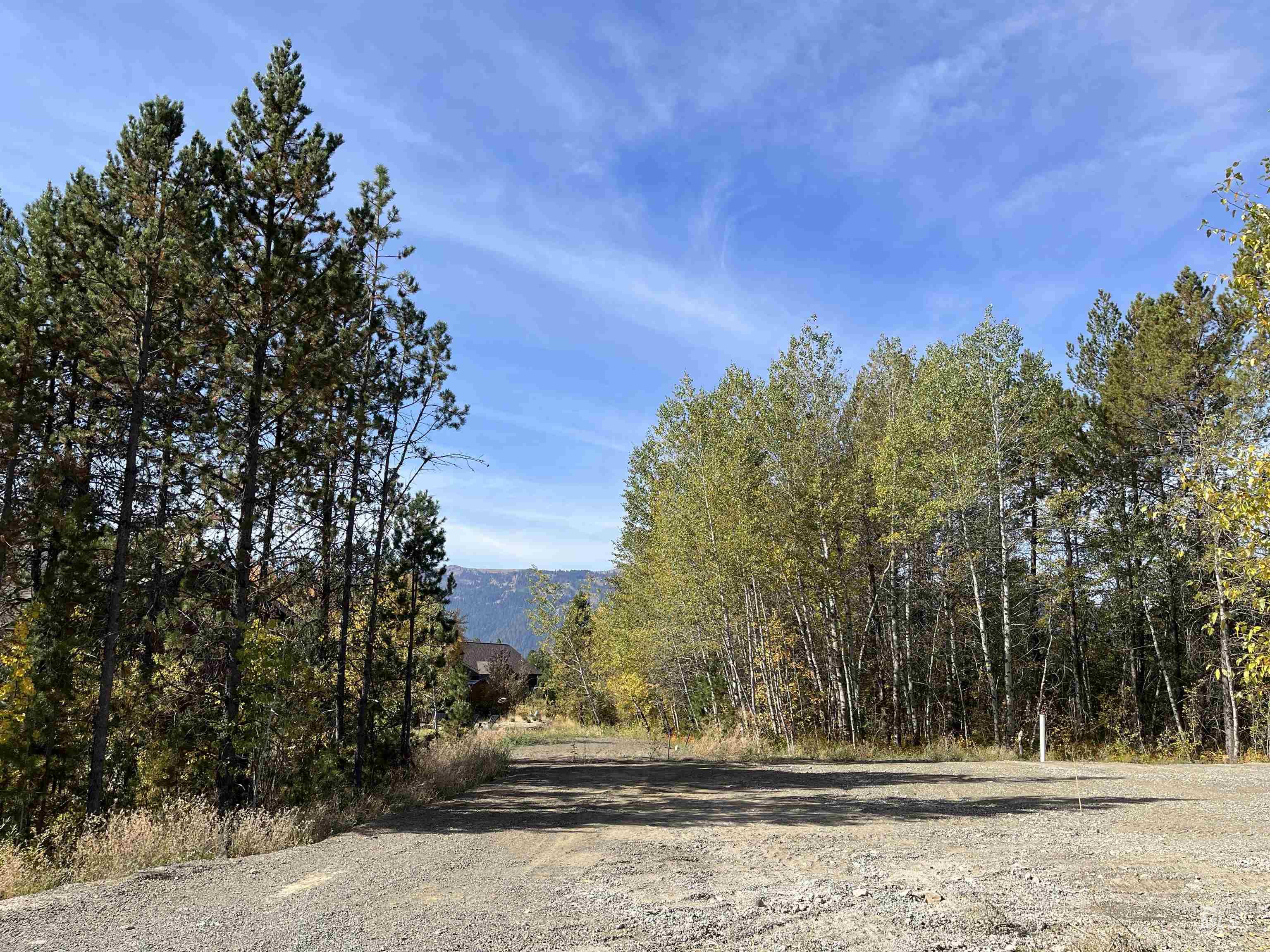 12925 Red Fir Rd, Donnelly, Idaho 83615-9998, Land For Sale, Price $185,000,MLS 98950488