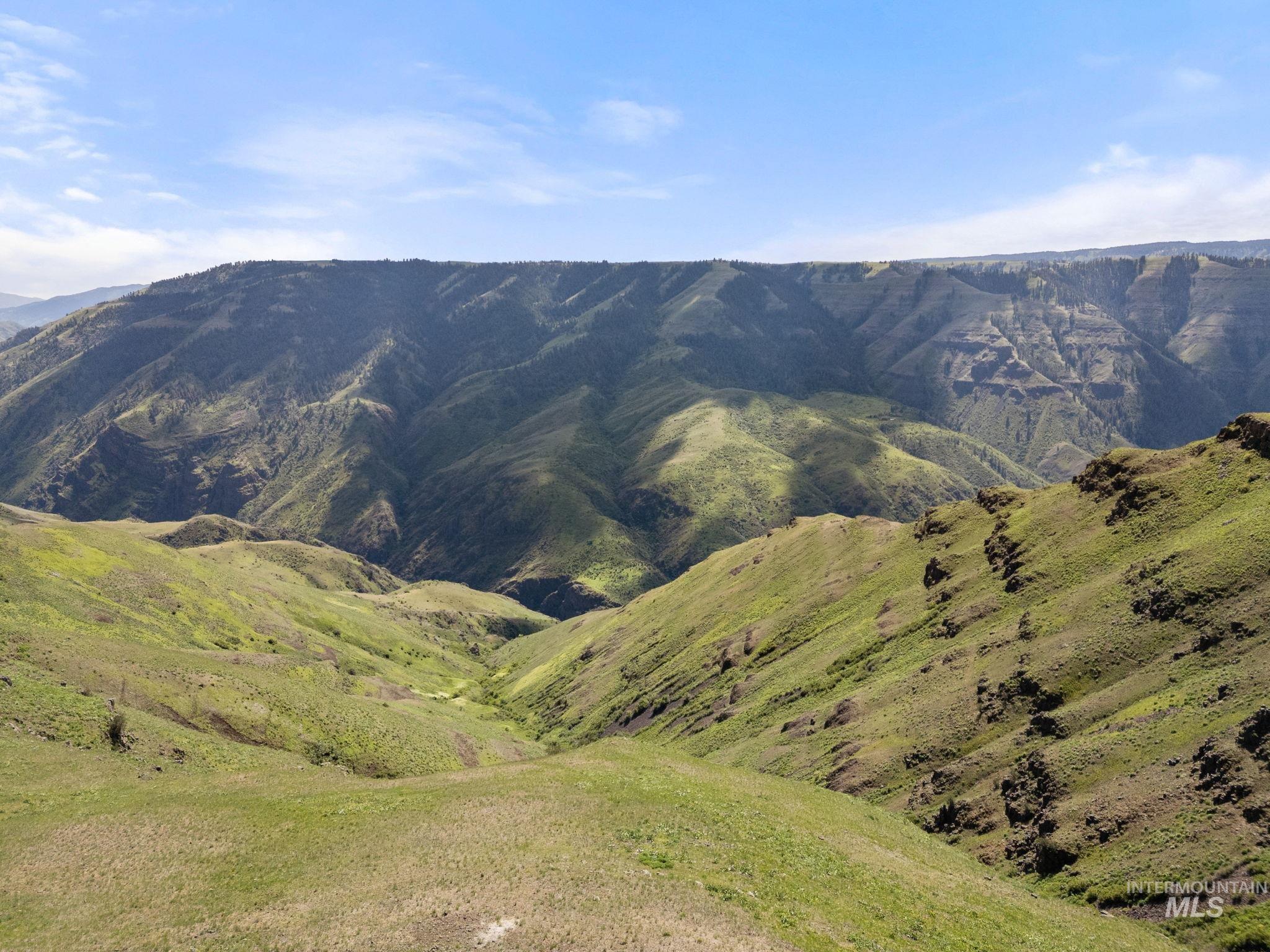 TBD Gill Point Lot 8, Grangeville, Idaho 83530, Land For Sale, Price $249,000,MLS 98950535