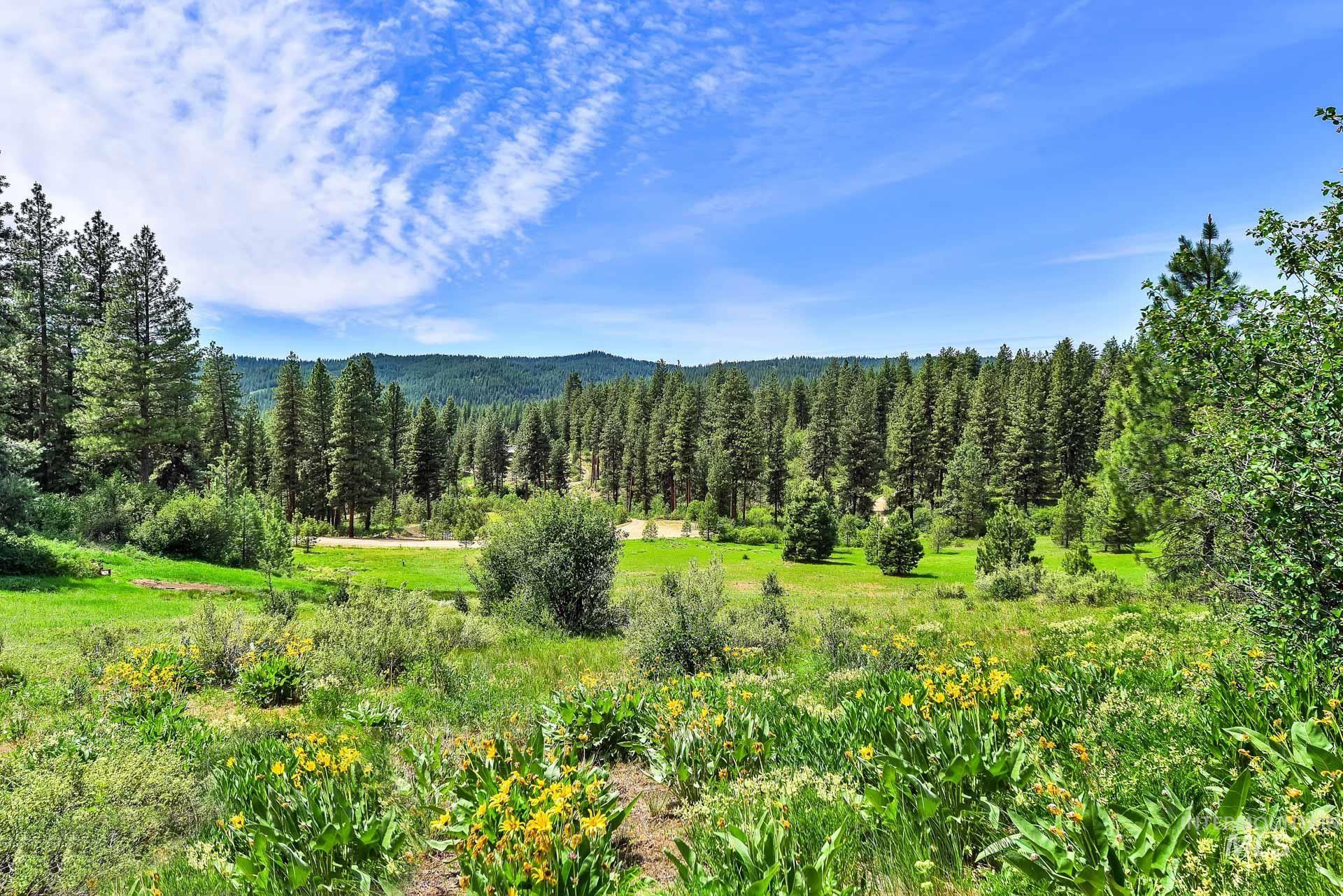 Lot 3 Meadow Dr, Idaho City, Idaho 83631, Land For Sale, Price $179,900,MLS 98950567