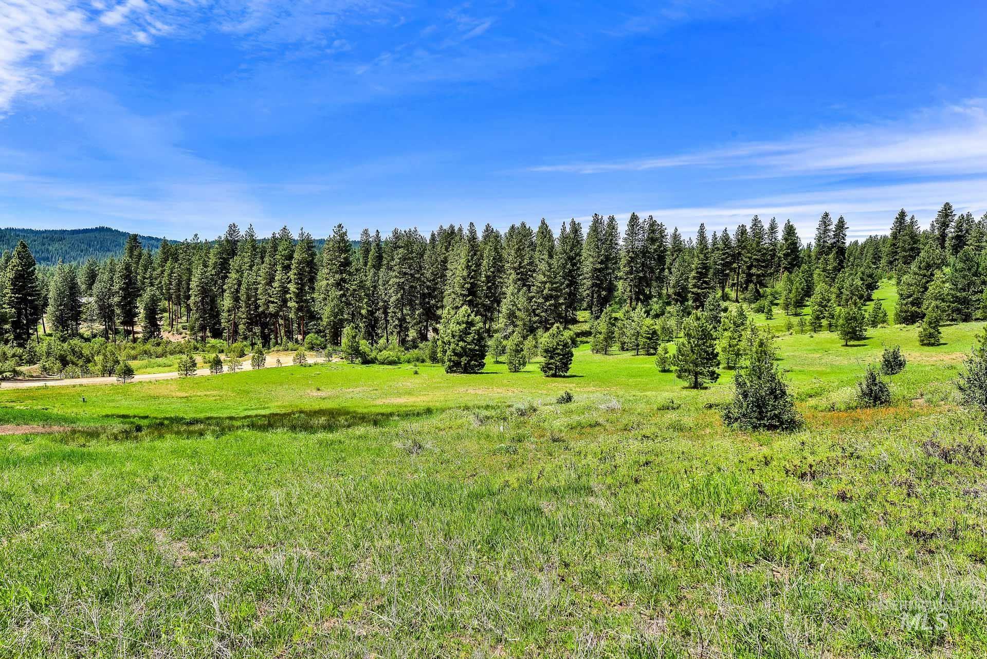 Lot 3 Meadow Dr, Idaho City, Idaho 83631, Land For Sale, Price $179,900,MLS 98950567