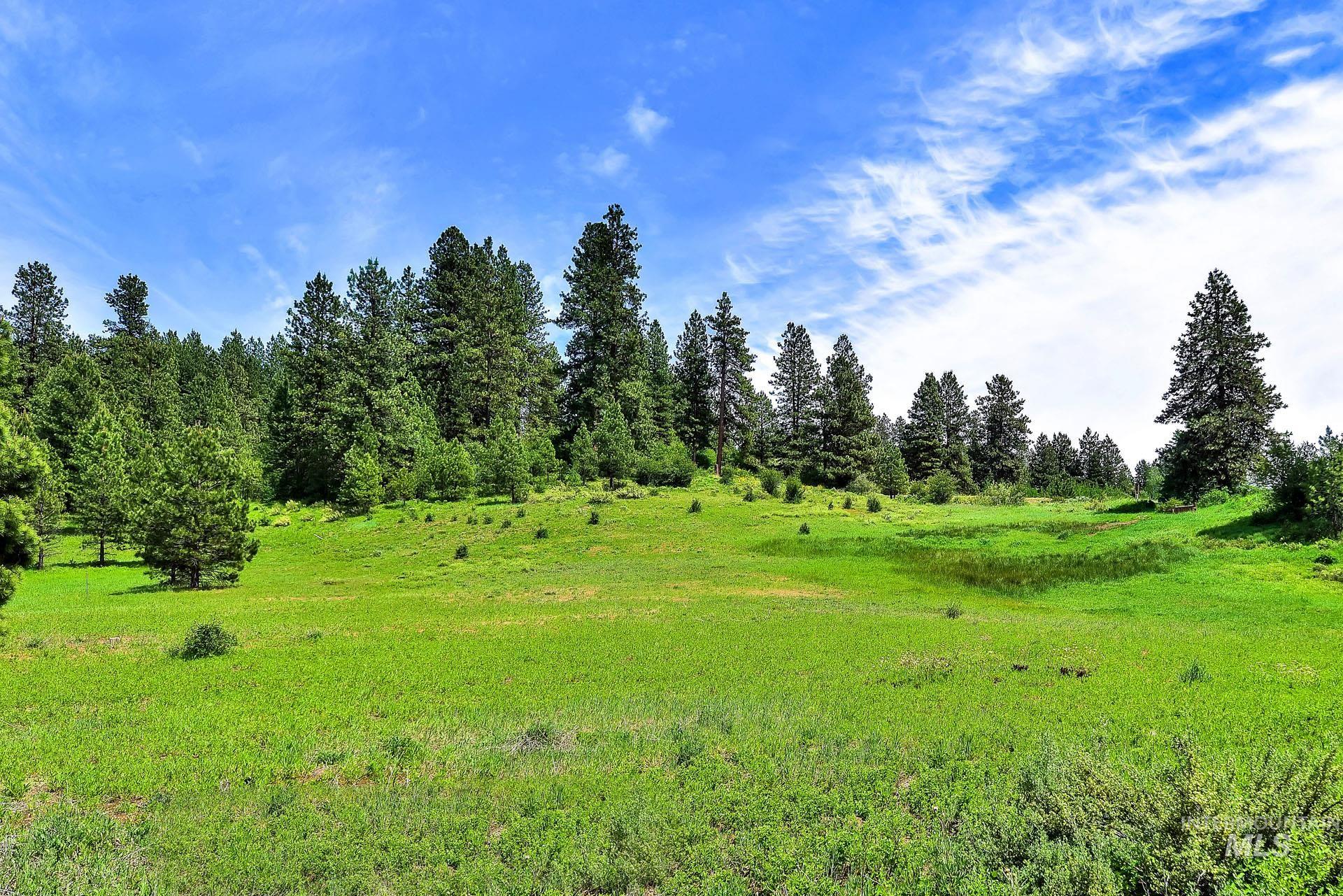 Lot 3 Meadow Dr, Idaho City, Idaho 83631, Land For Sale, Price $179,900,MLS 98950567