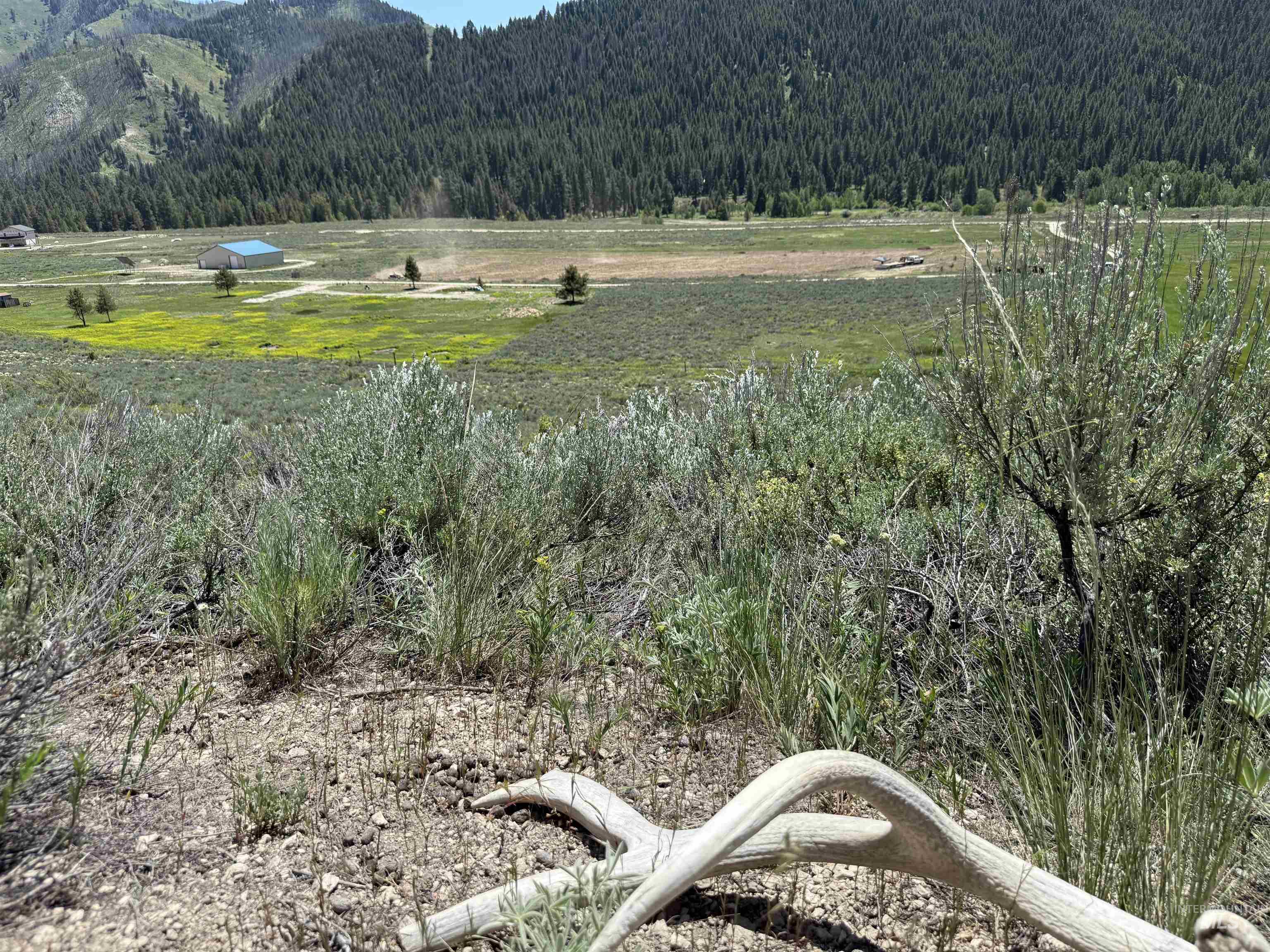 TBD E Forrest Circle, Mountain Home, Featherville, Idaho 83647, Land For Sale, Price $165,000,MLS 98950679