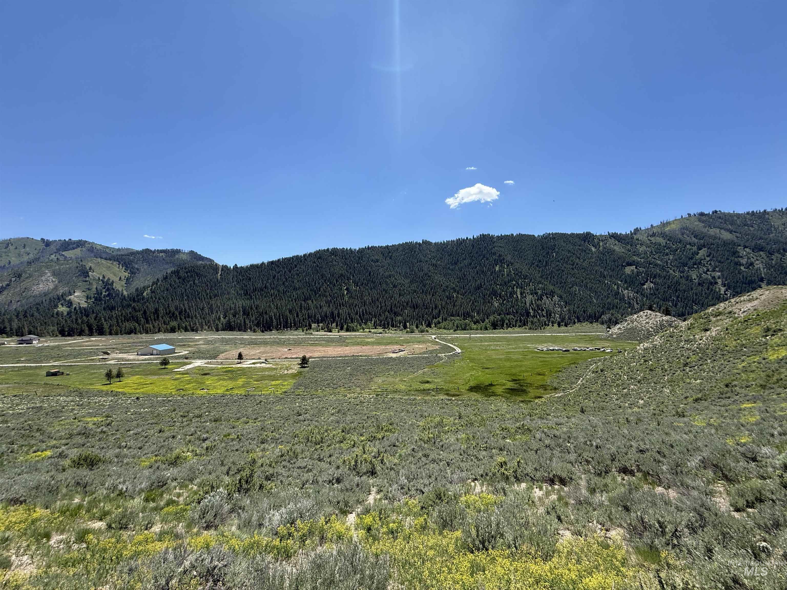 TBD E Forrest Circle, Mountain Home, Featherville, Idaho 83647, Land For Sale, Price $165,000,MLS 98950679