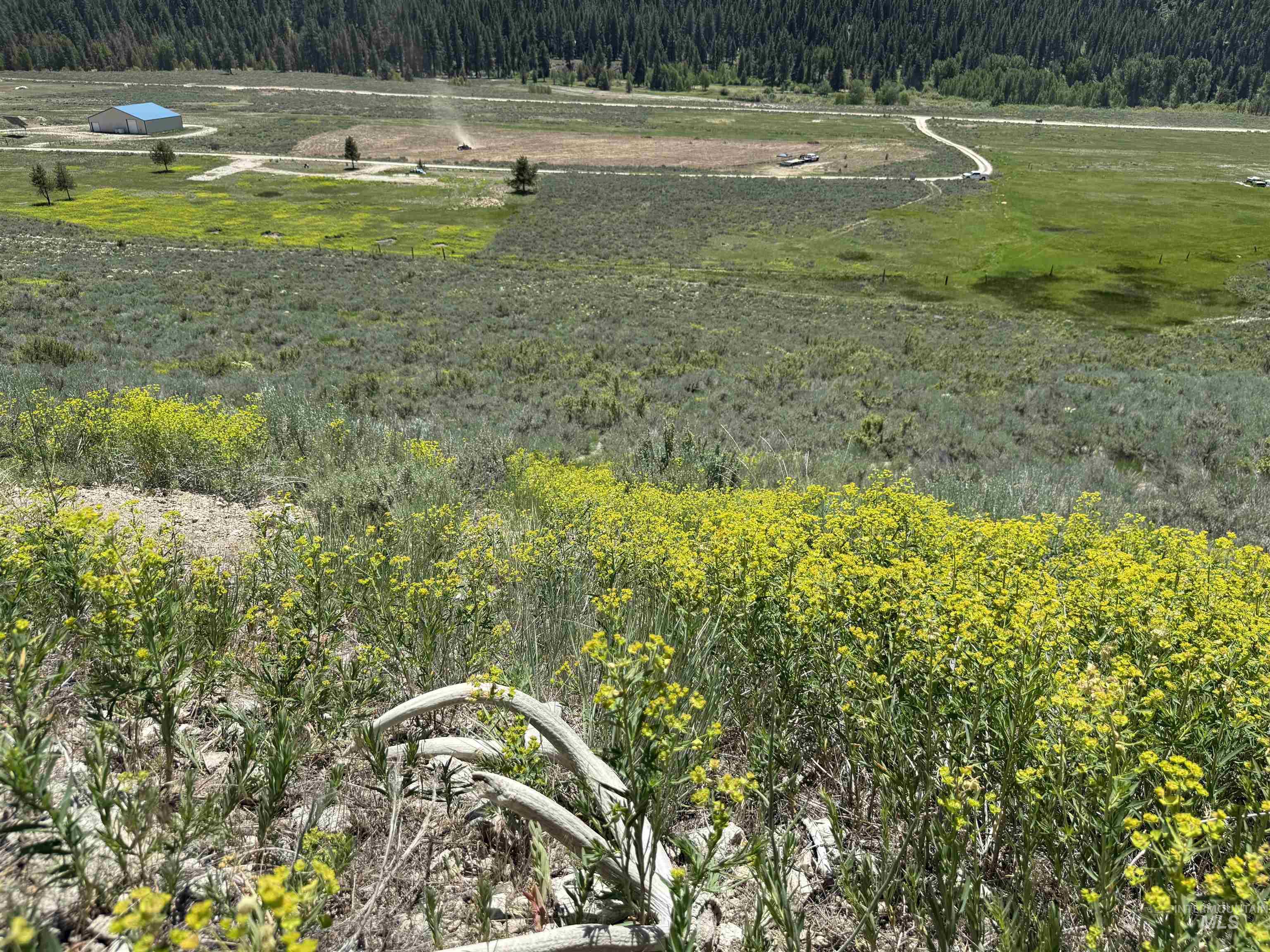 TBD E Forrest Circle, Mountain Home, Featherville, Idaho 83647, Land For Sale, Price $165,000,MLS 98950679