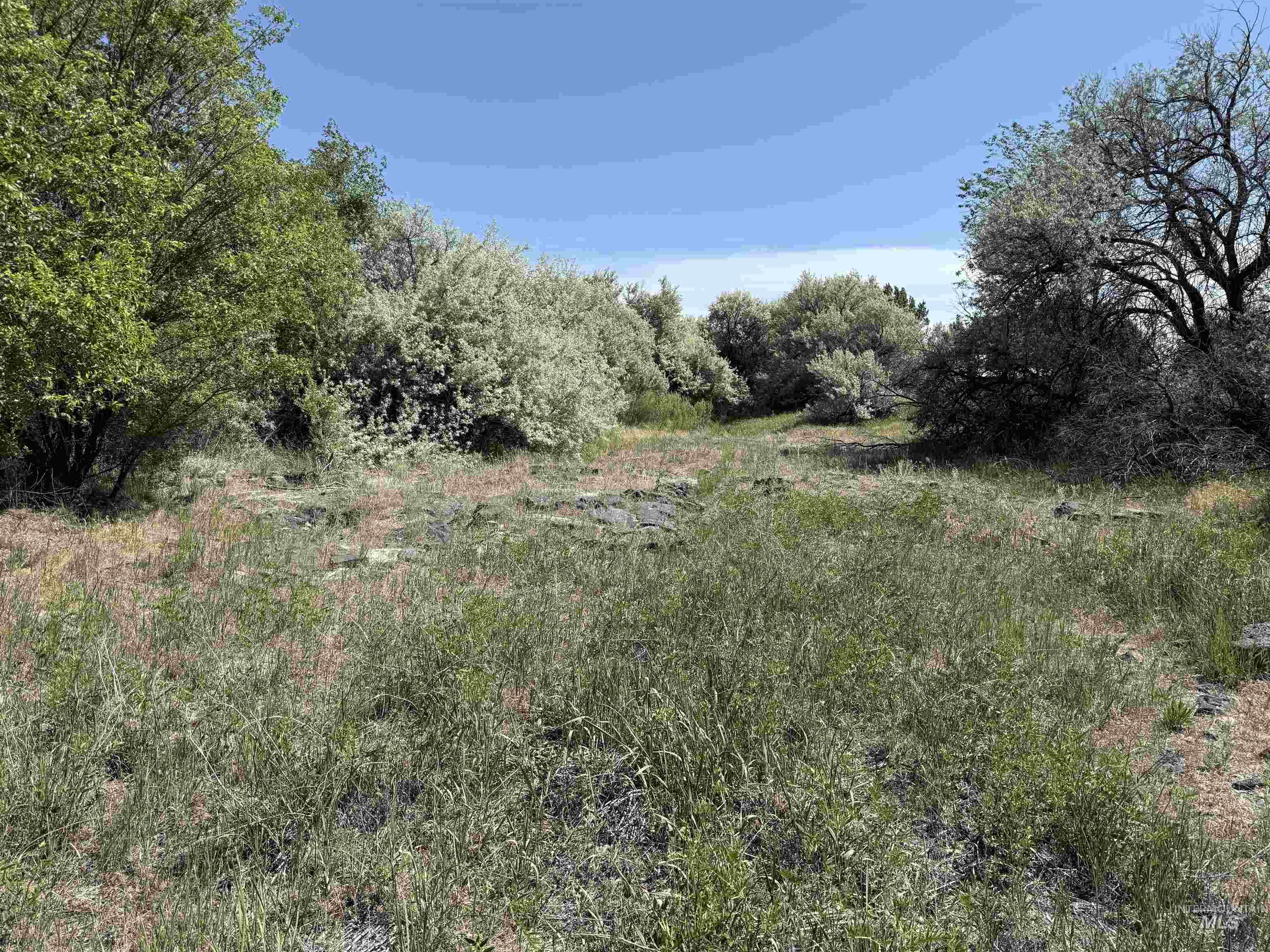TBD Parcel B, 1700 S, Gooding, Idaho 83330, Land For Sale, Price $180,000,MLS 98950705