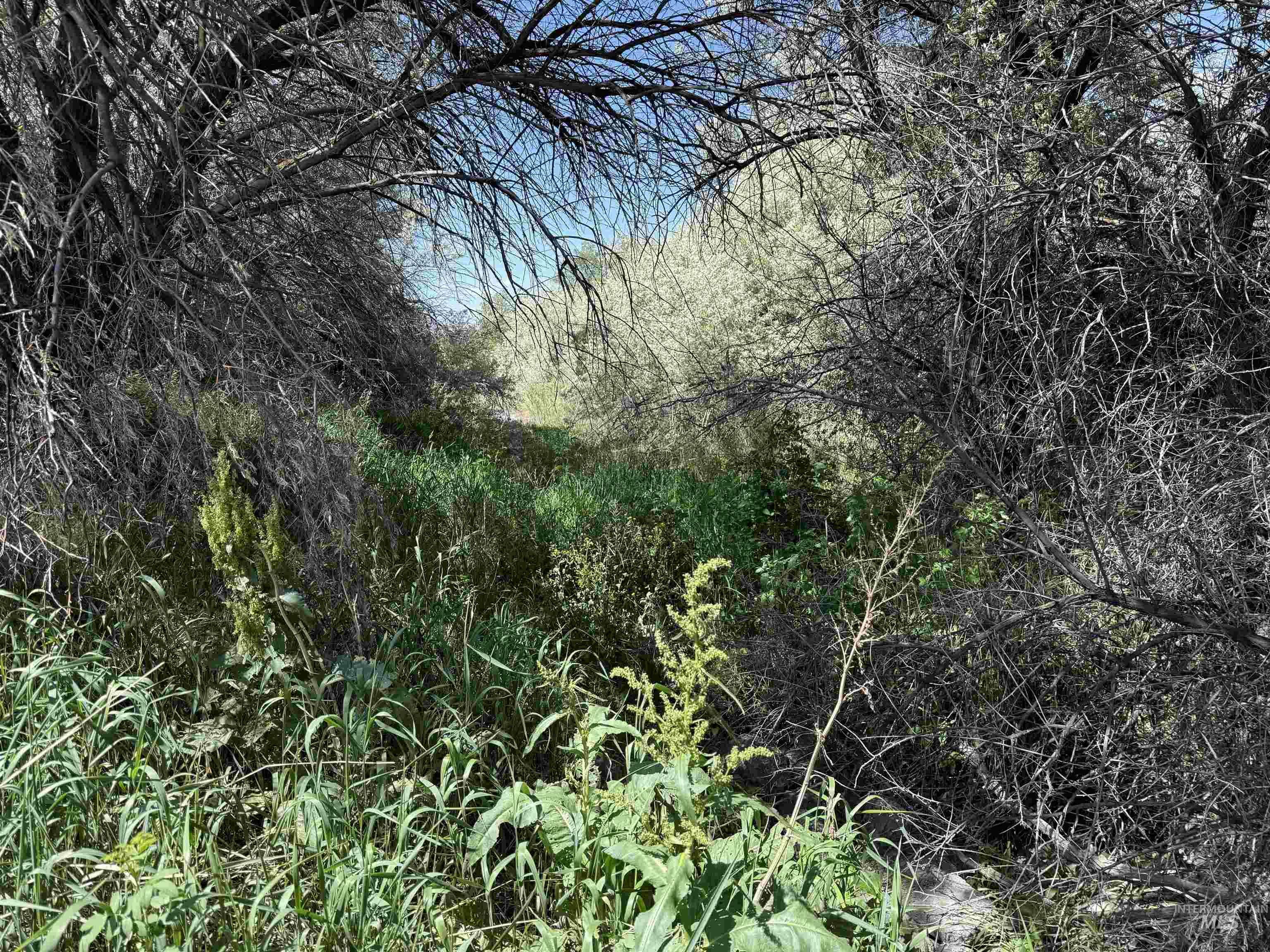 TBD Parcel B, 1700 S, Gooding, Idaho 83330, Land For Sale, Price $180,000,MLS 98950705