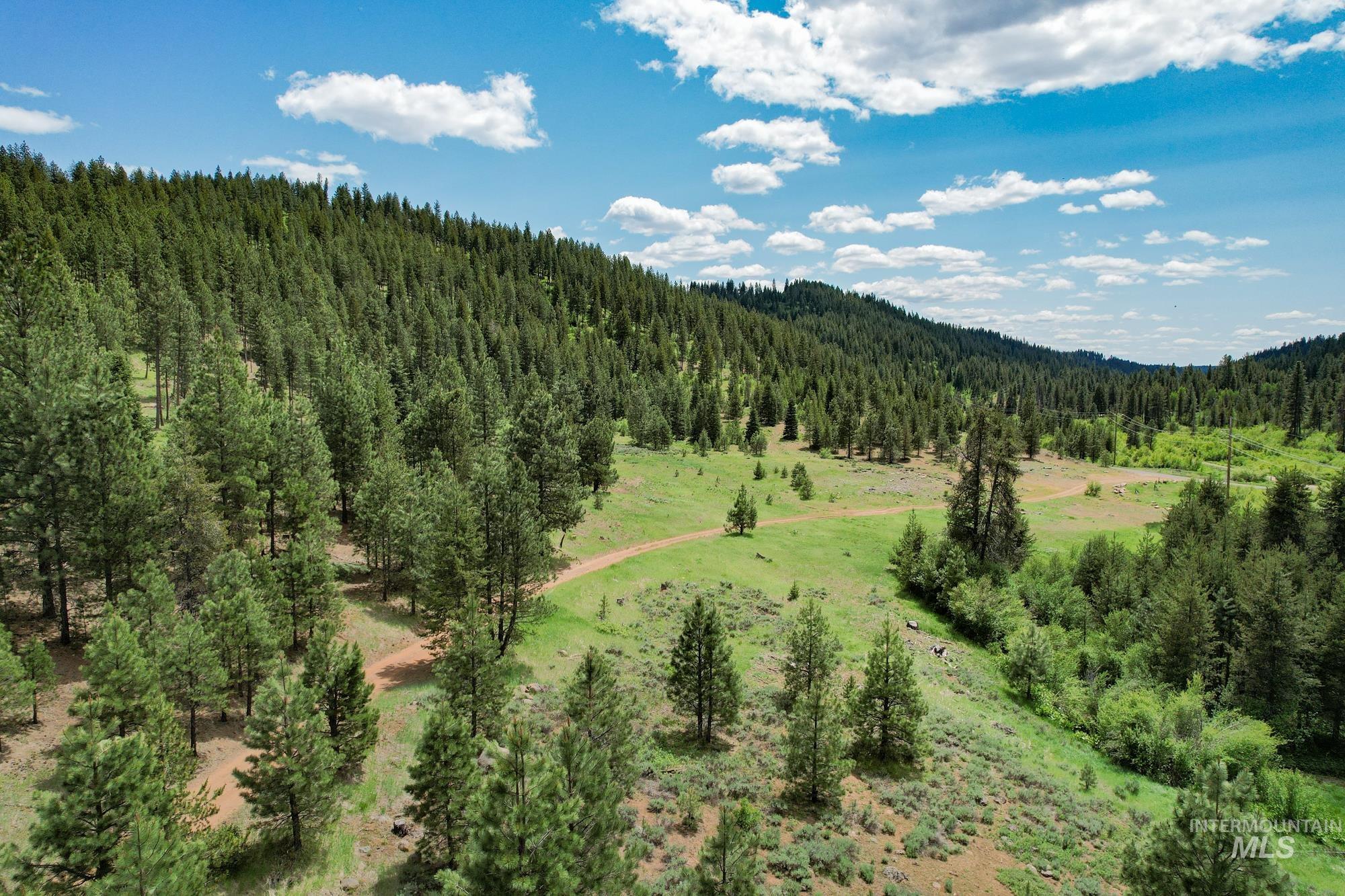 TBD Highway 95, New Meadows, Idaho 83654, Land For Sale, Price $1,909,695, 98950756
