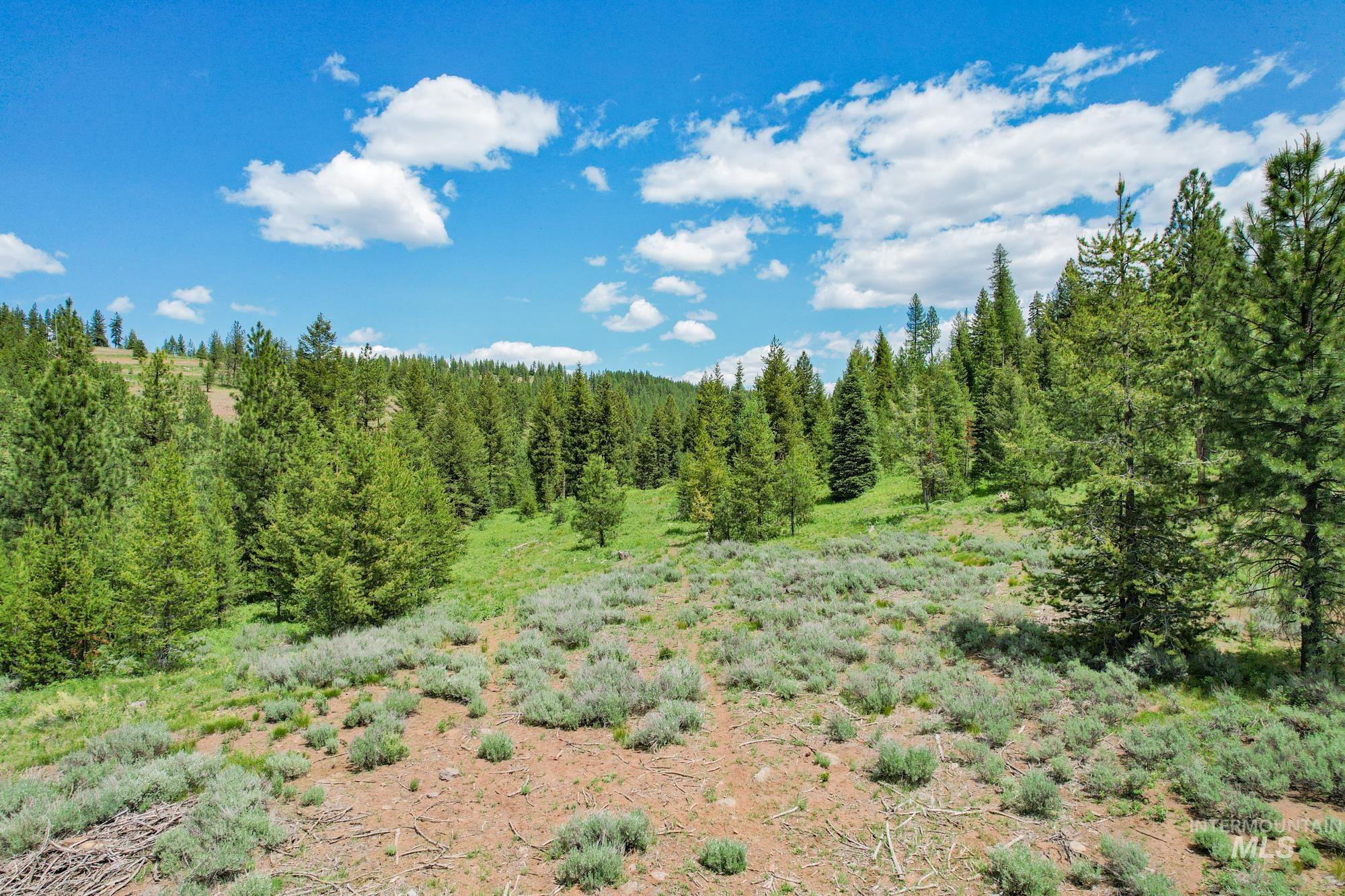TBD Highway 95, New Meadows, Idaho 83654, Land For Sale, Price $1,909,695, 98950756