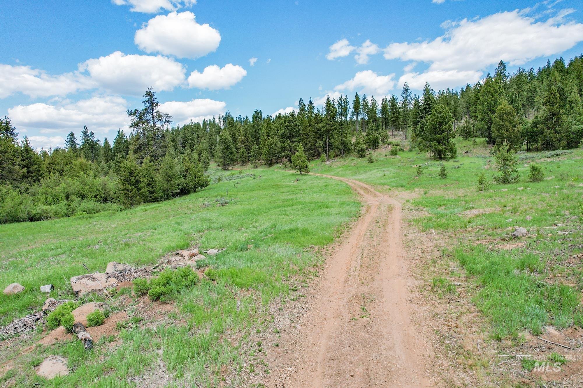 TBD Highway 95, New Meadows, Idaho 83654, Land For Sale, Price $1,909,695, 98950756