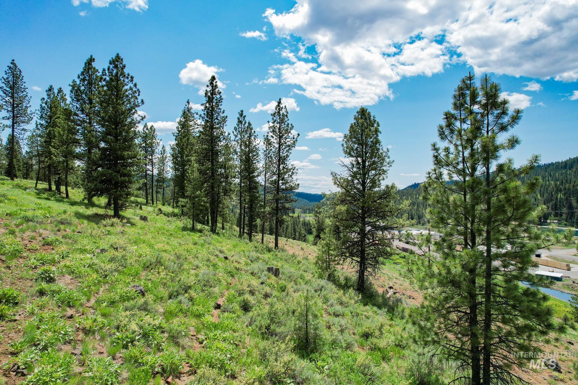 TBD Highway 95, New Meadows, Idaho 83654, Land For Sale, Price $1,909,695, 98950756