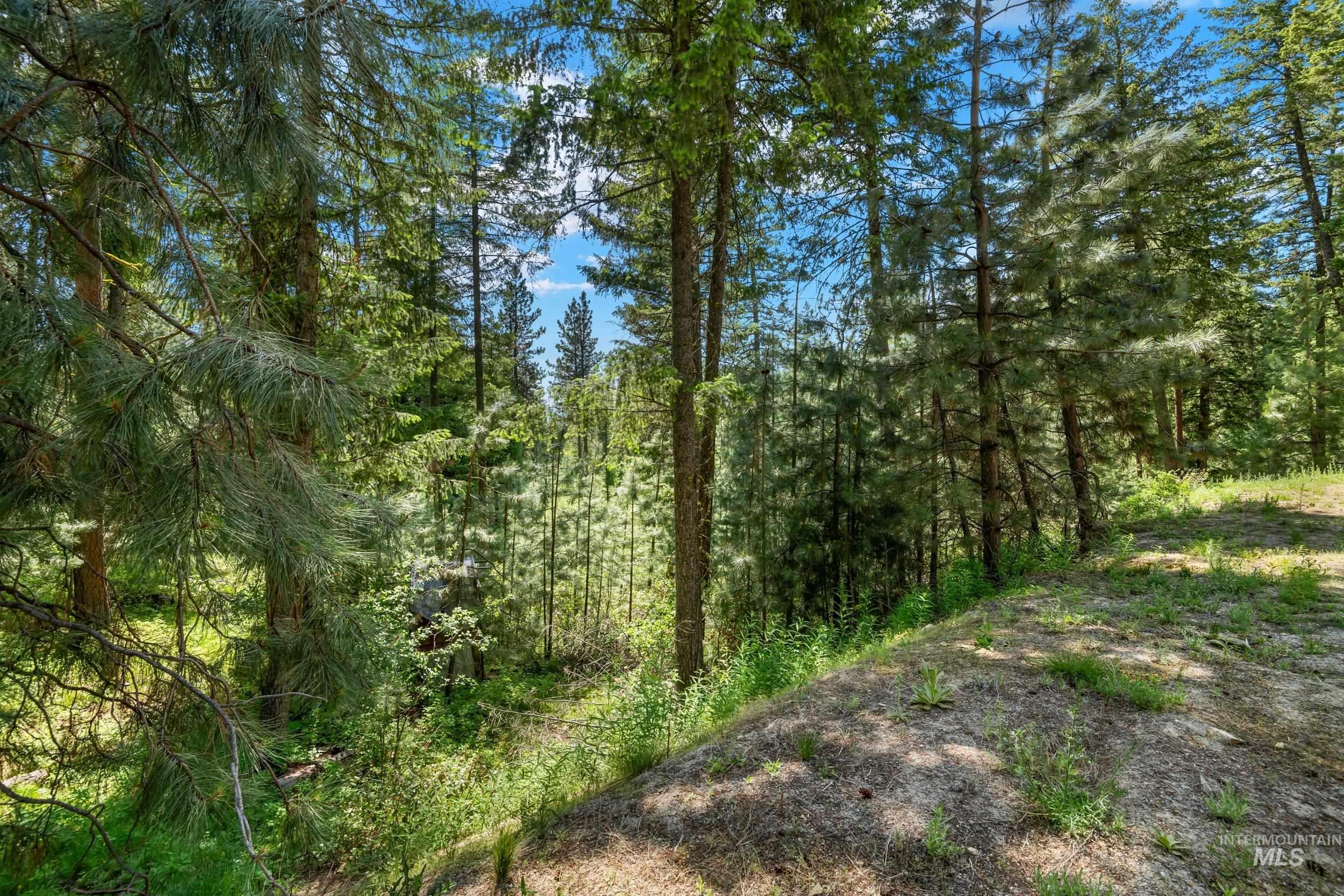 118 Spanish Loop, Idaho City, Idaho 83631, Land For Sale, Price $250,000, 98950768